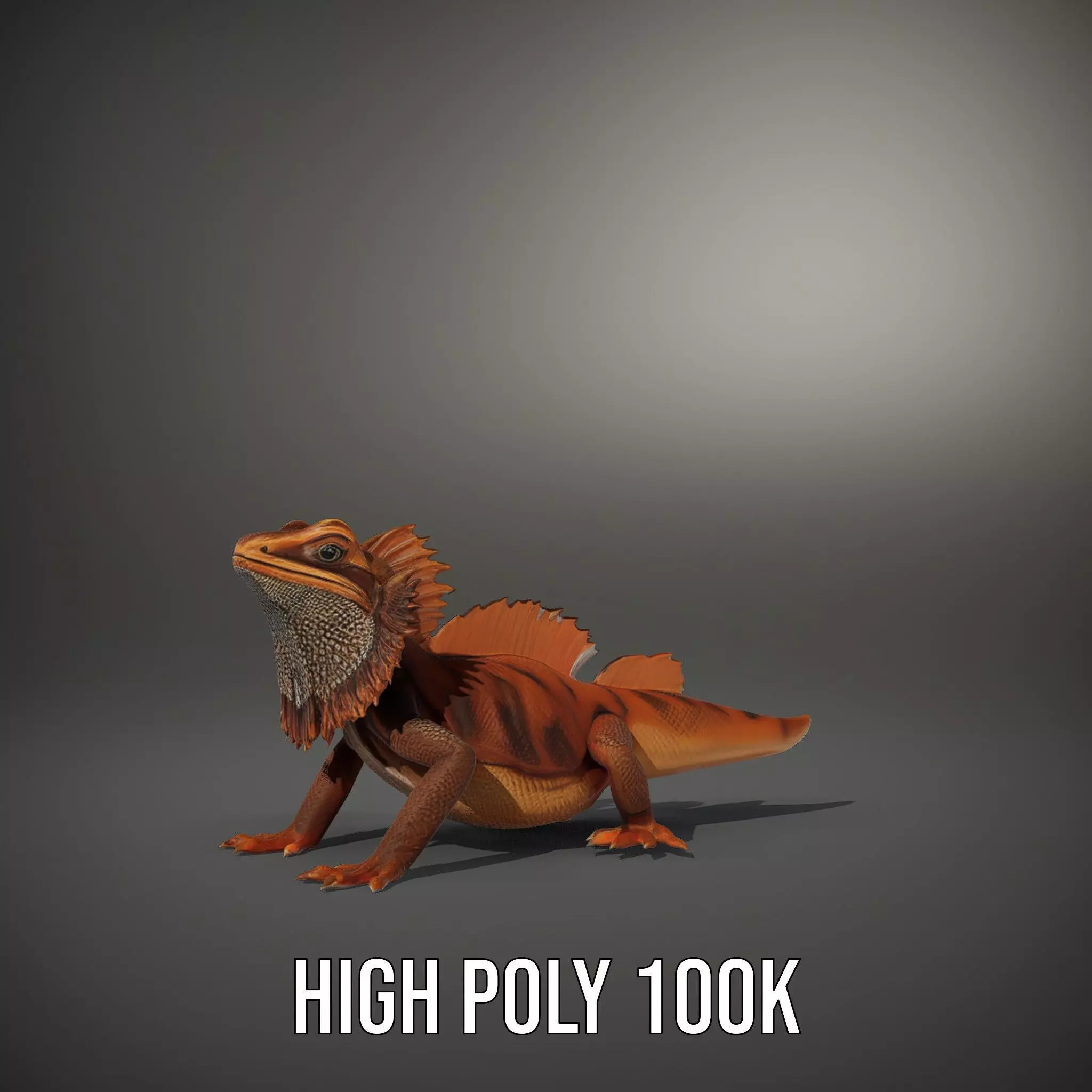 Orange Bearded Dragon model pack Low-poly 3D model_8