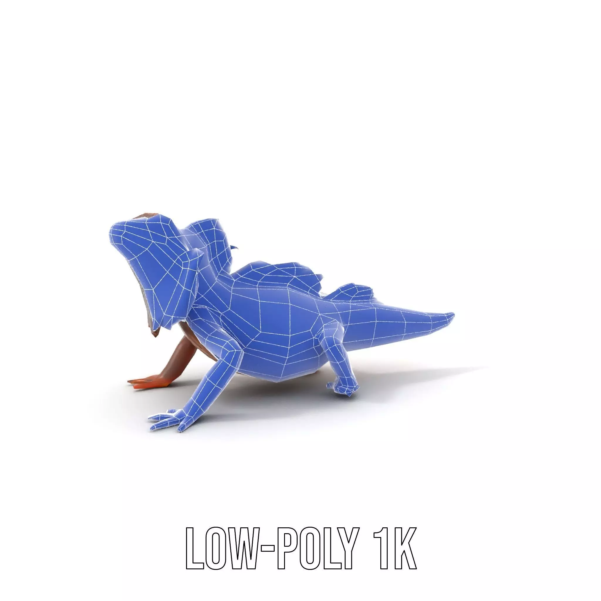 Orange Bearded Dragon model pack Low-poly 3D model_7