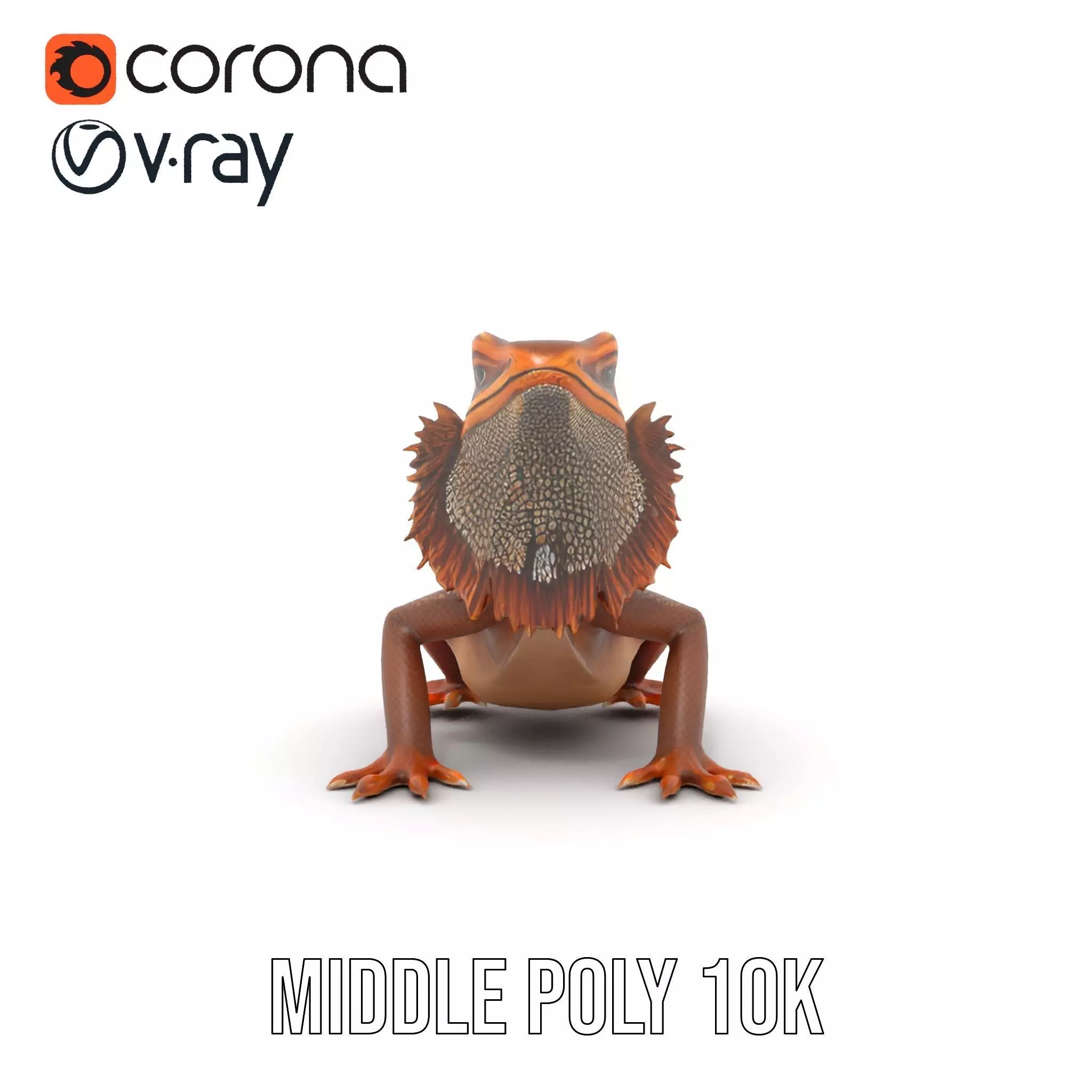 Orange Bearded Dragon model pack Low-poly 3D model_16