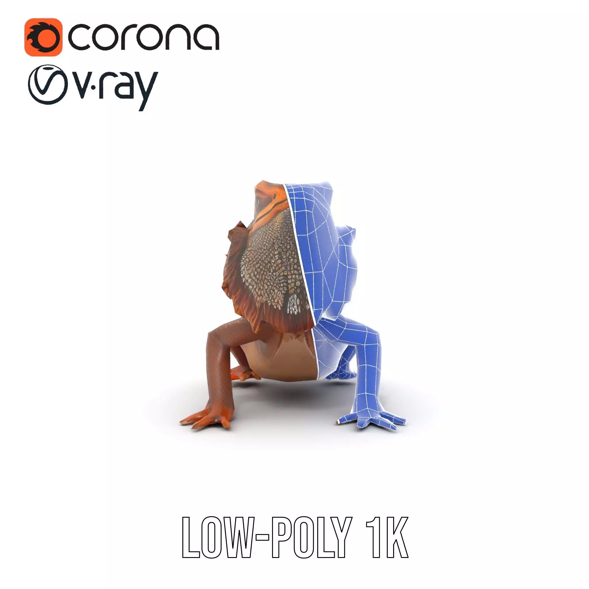 Orange Bearded Dragon model pack Low-poly 3D model_31