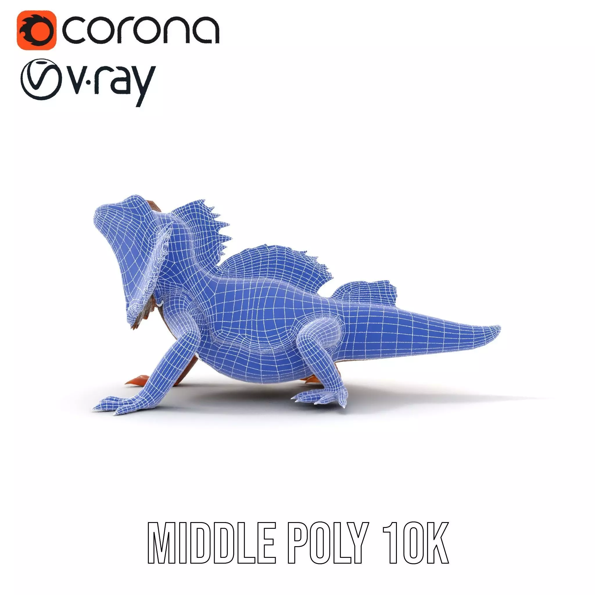 Orange Bearded Dragon model pack Low-poly 3D model_30