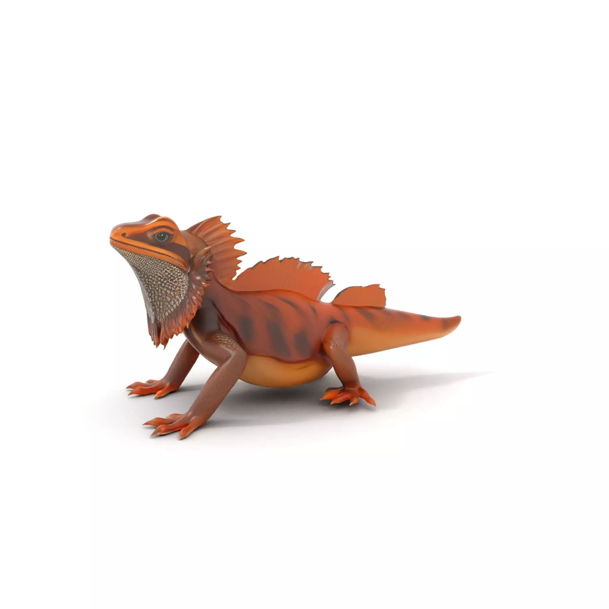 Orange Bearded Dragon model pack Low-poly 3D model_0