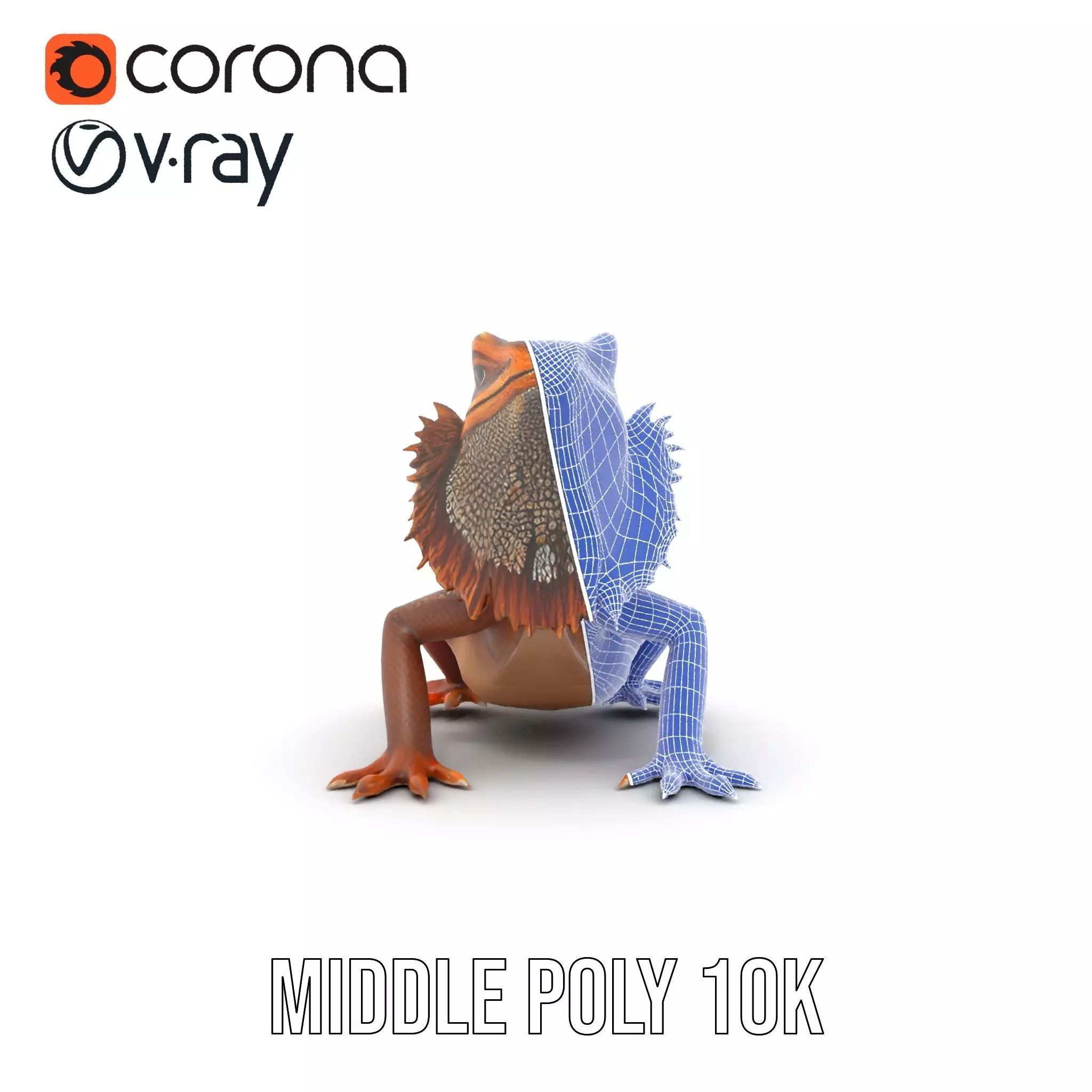 Orange Bearded Dragon model pack Low-poly 3D model_27