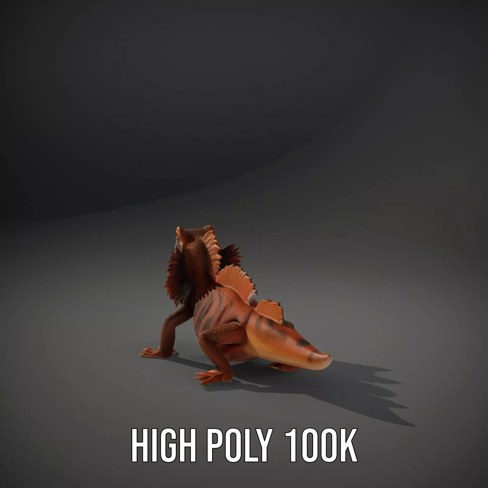 Orange Bearded Dragon model pack Low-poly 3D model_10
