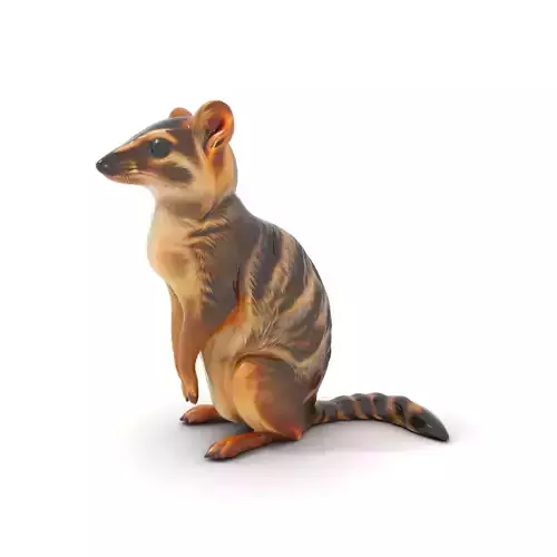 Striped Numbat Creature model pack