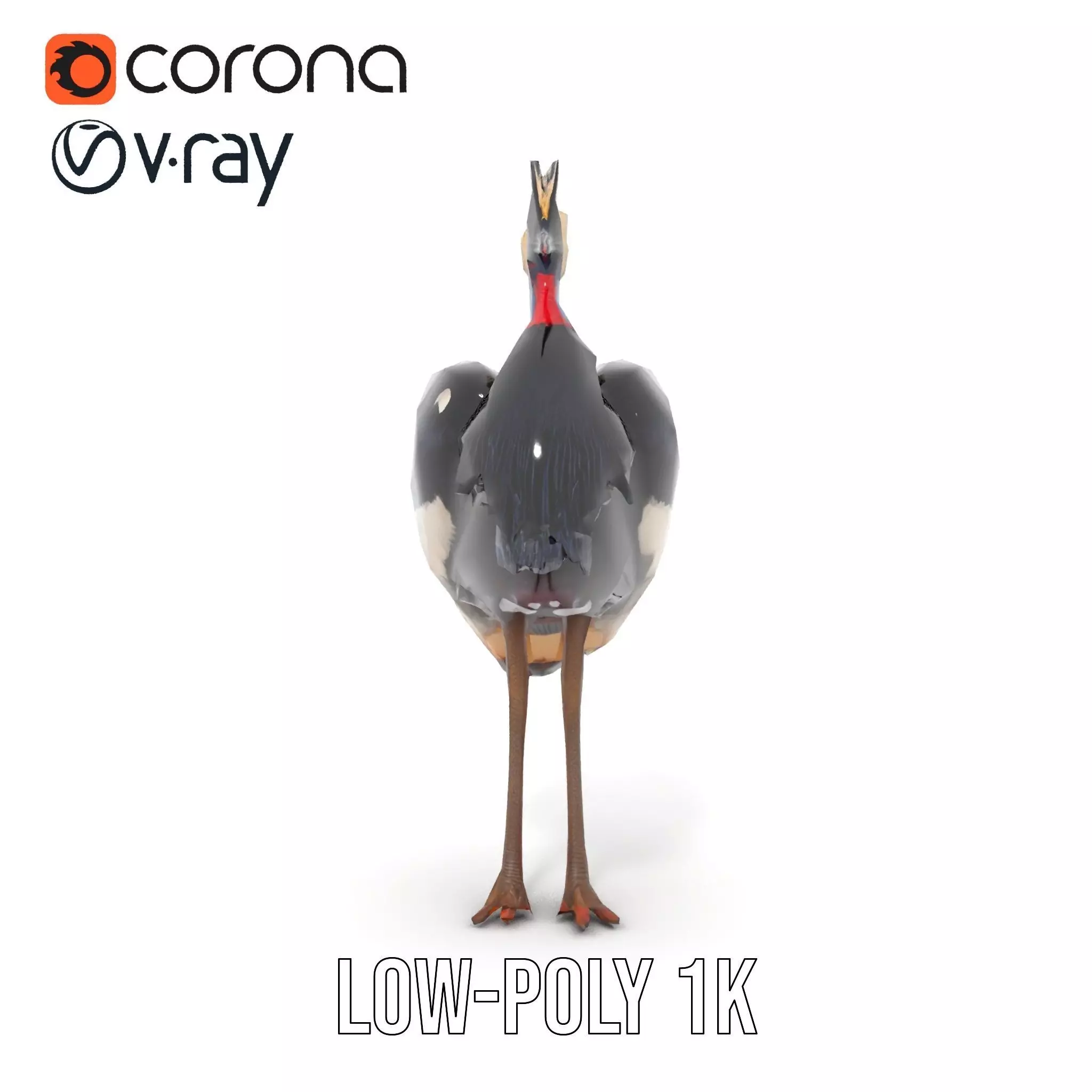 Majestic Gray Crowned Crane model pack Low-poly 3D model_12
