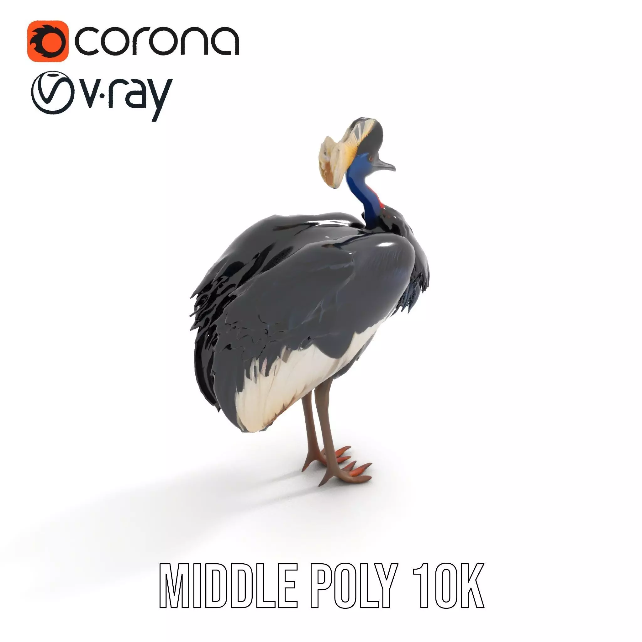 Majestic Gray Crowned Crane model pack Low-poly 3D model_20