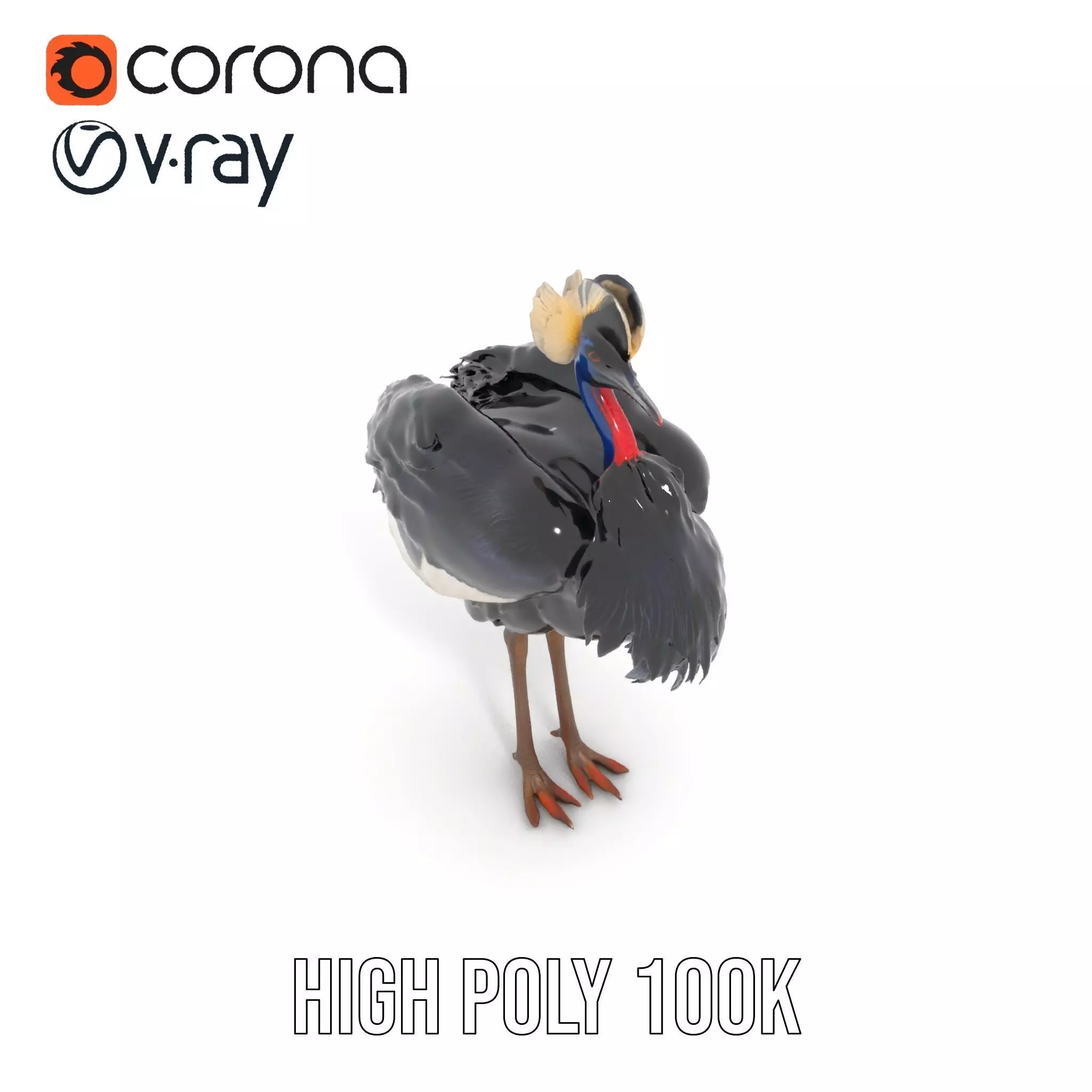 Majestic Gray Crowned Crane model pack Low-poly 3D model_28
