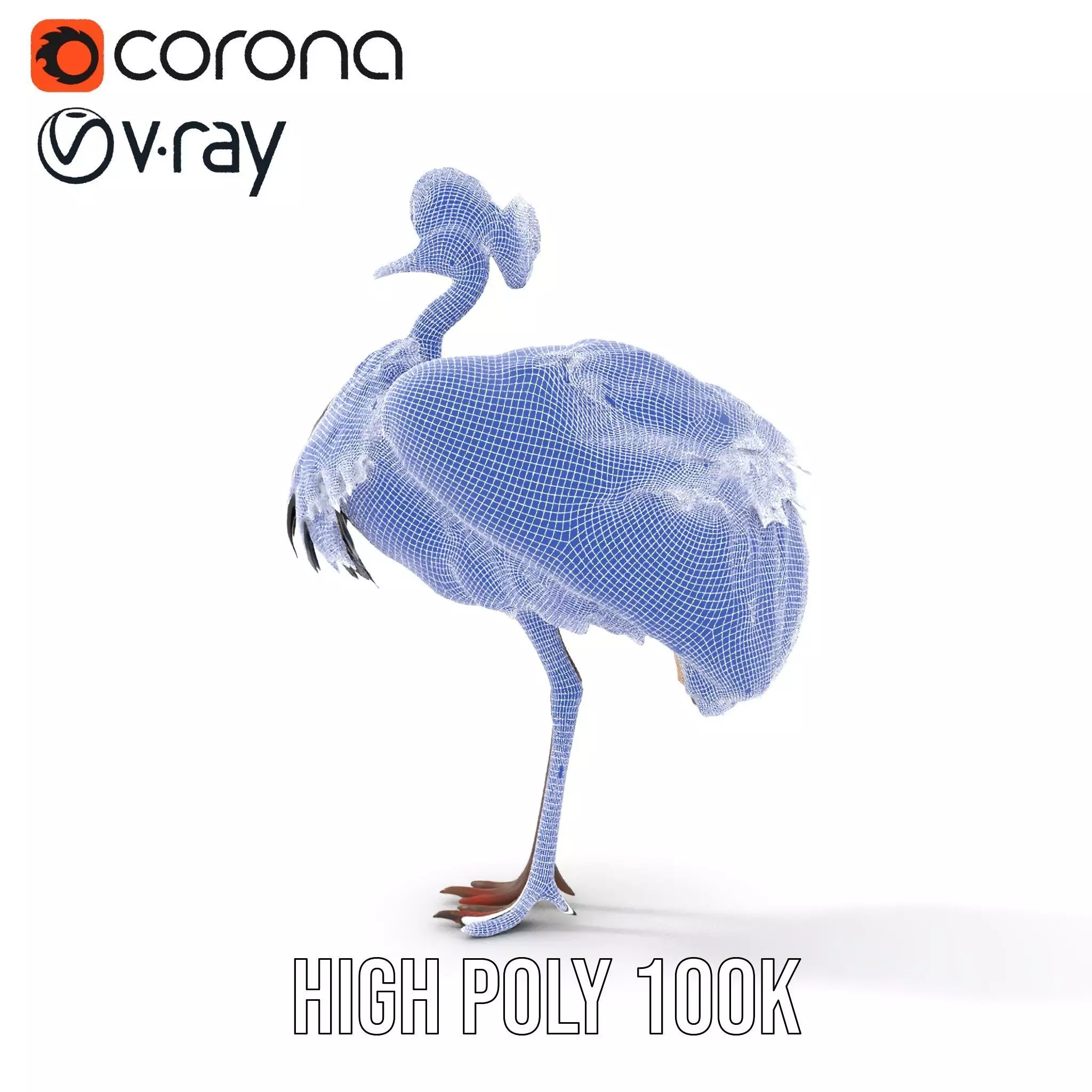 Majestic Gray Crowned Crane model pack Low-poly 3D model_32