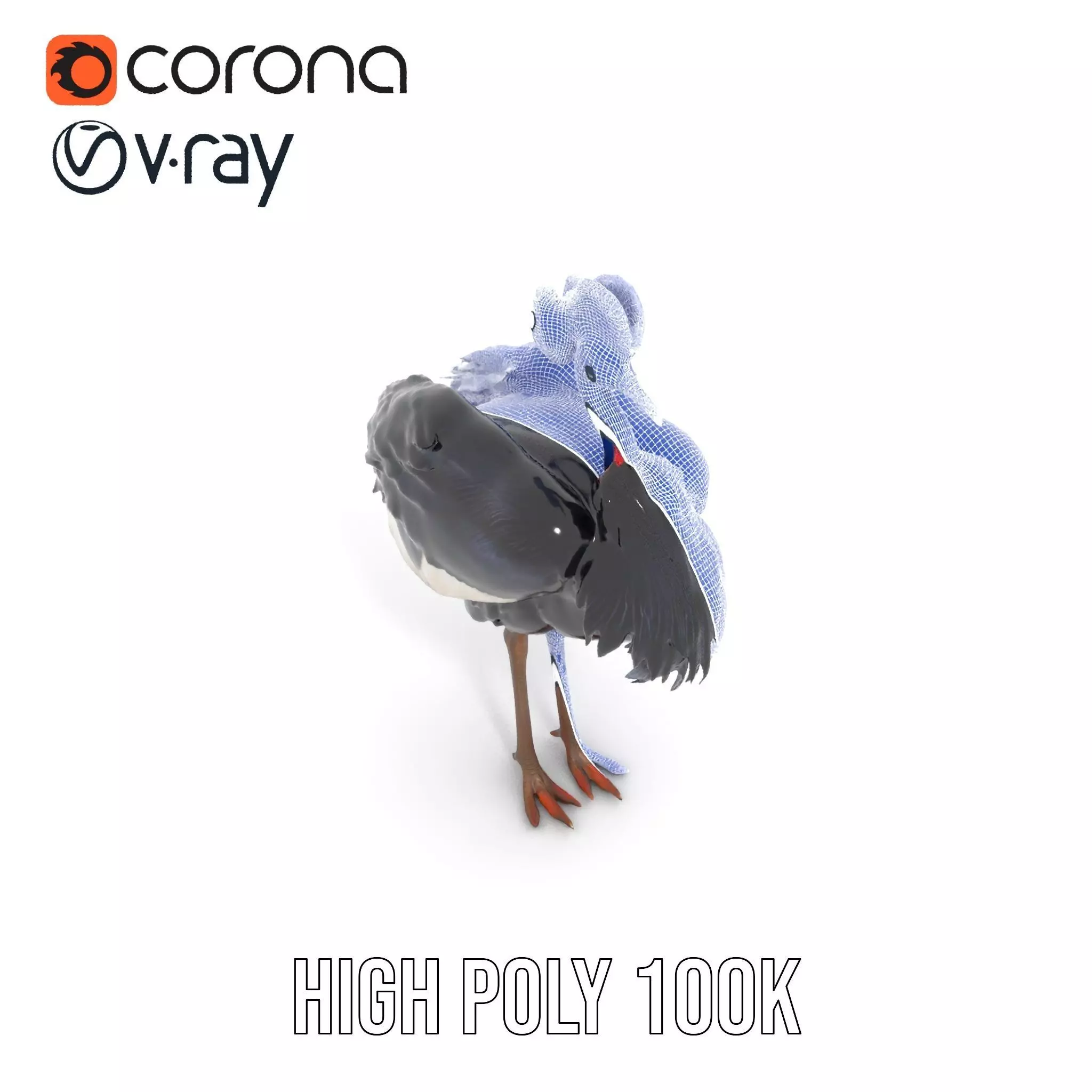 Majestic Gray Crowned Crane model pack Low-poly 3D model_34