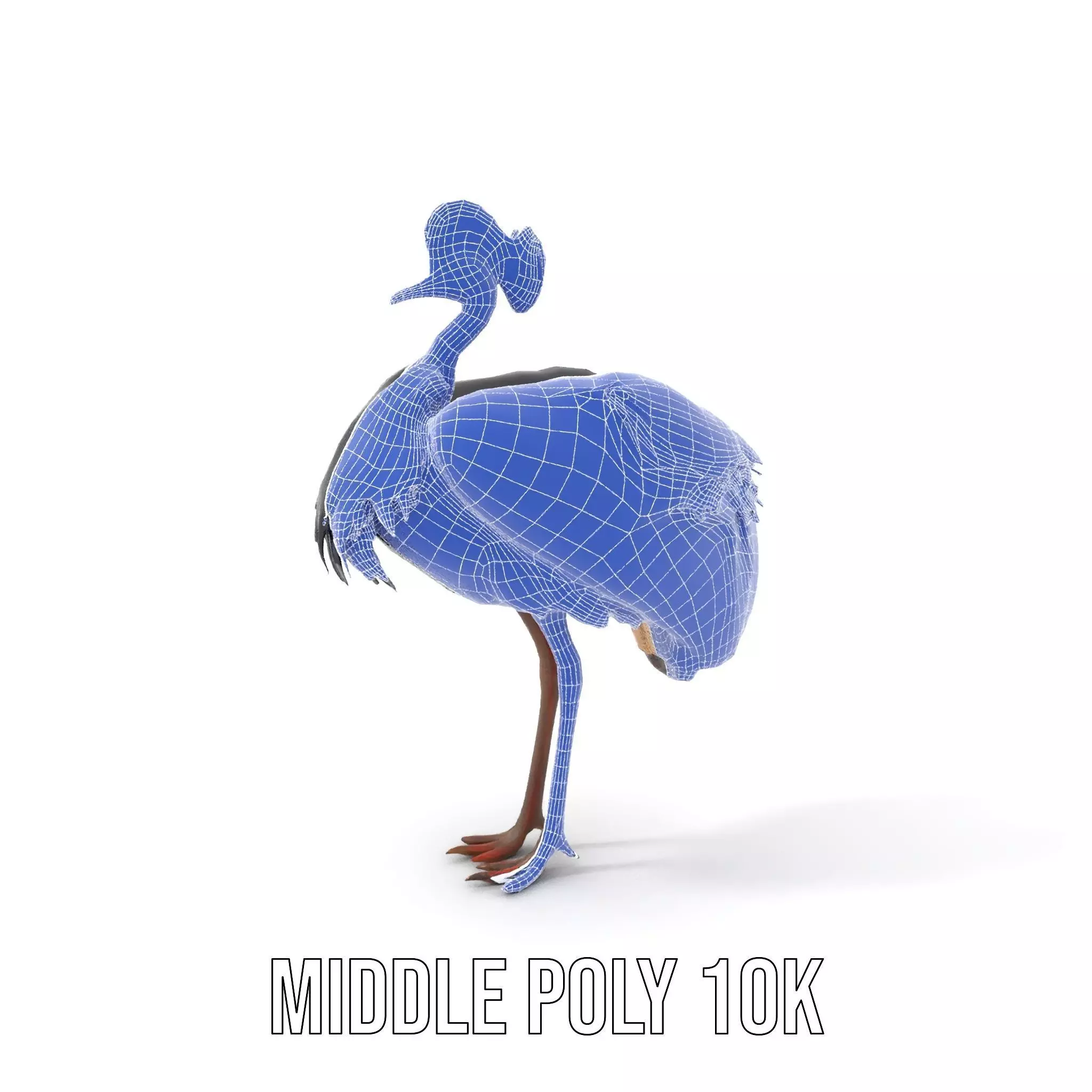 Majestic Gray Crowned Crane model pack Low-poly 3D model_17