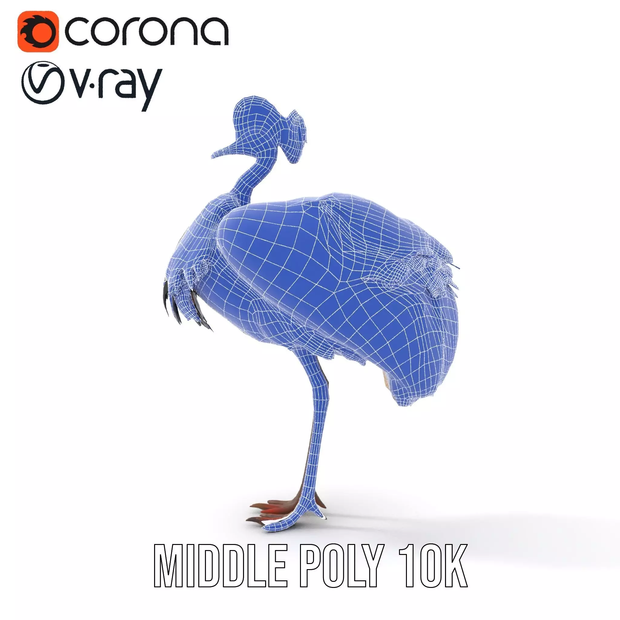 Majestic Gray Crowned Crane model pack Low-poly 3D model_29