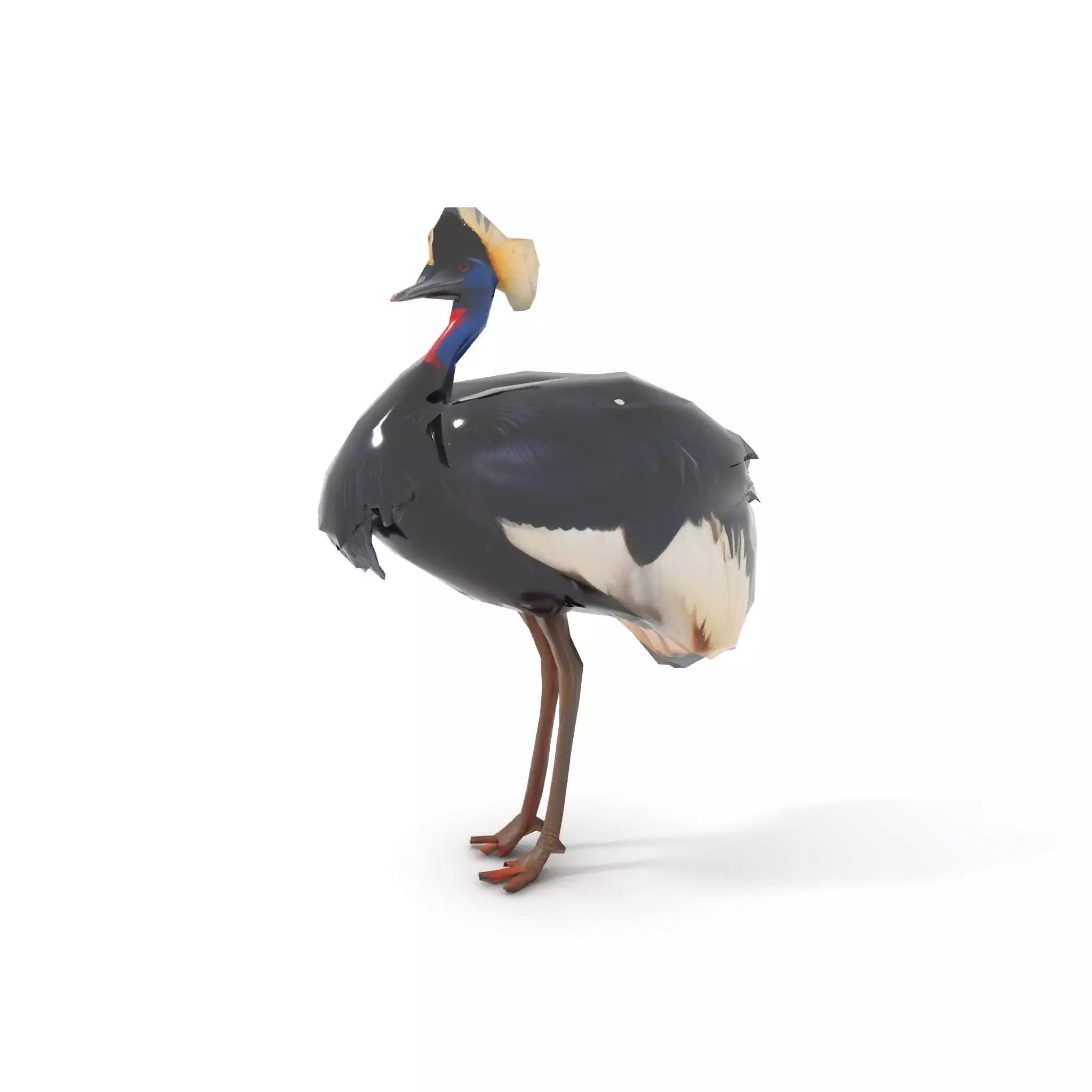 Majestic Gray Crowned Crane model pack Low-poly 3D model_27