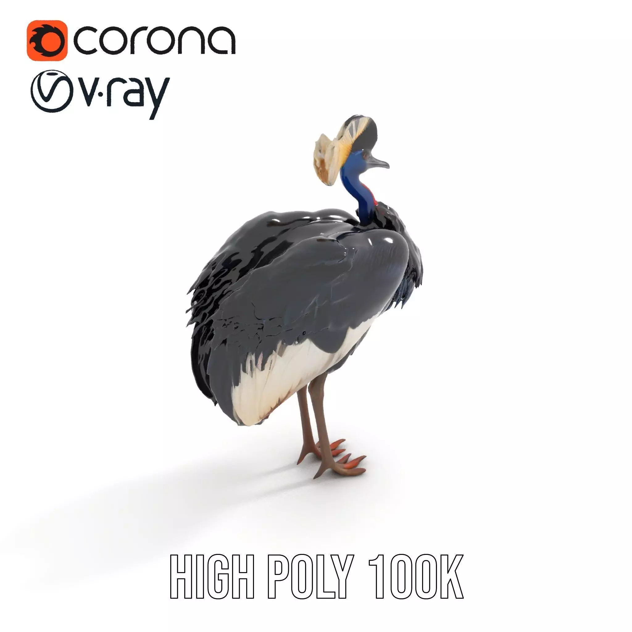 Majestic Gray Crowned Crane model pack Low-poly 3D model_31