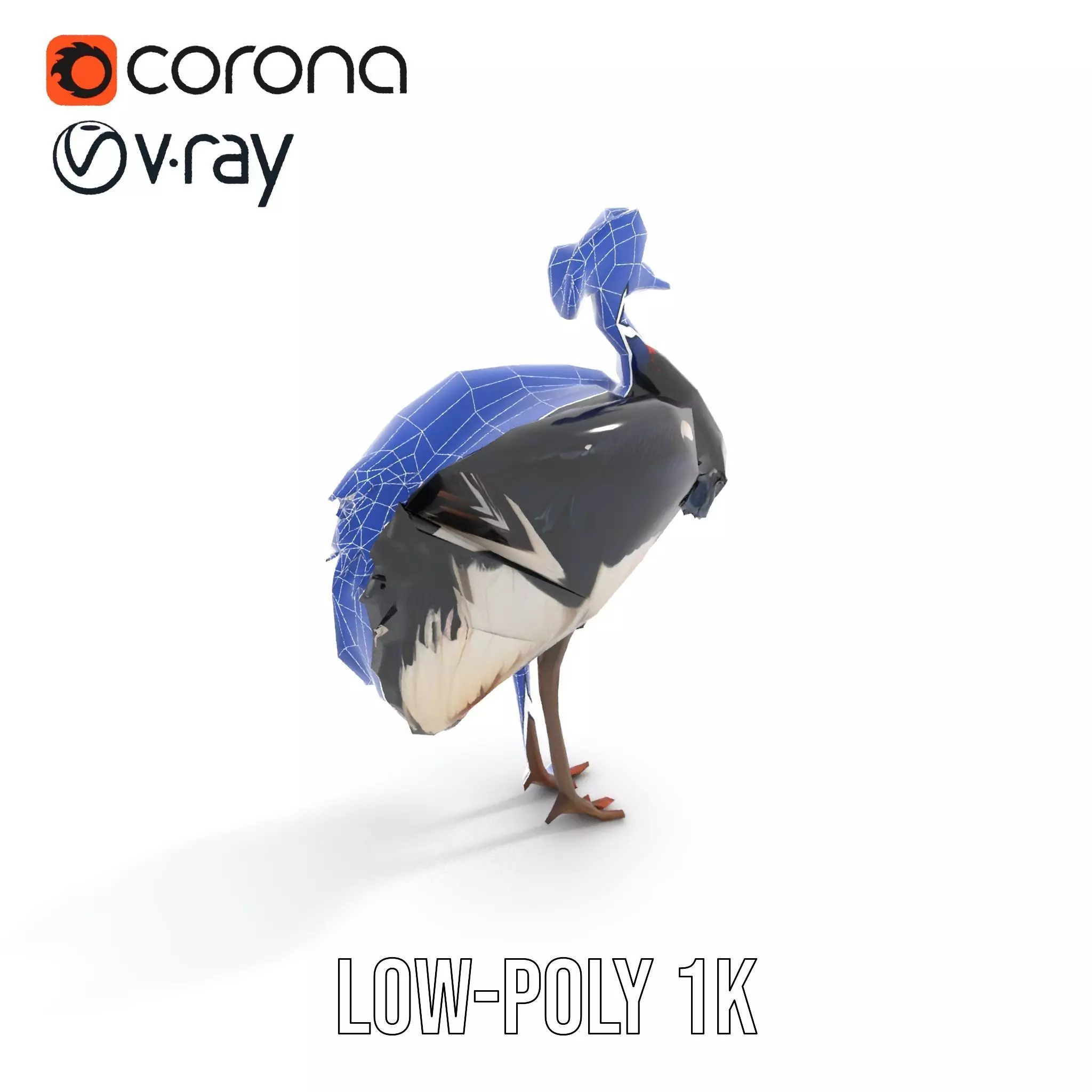 Majestic Gray Crowned Crane model pack Low-poly 3D model_21