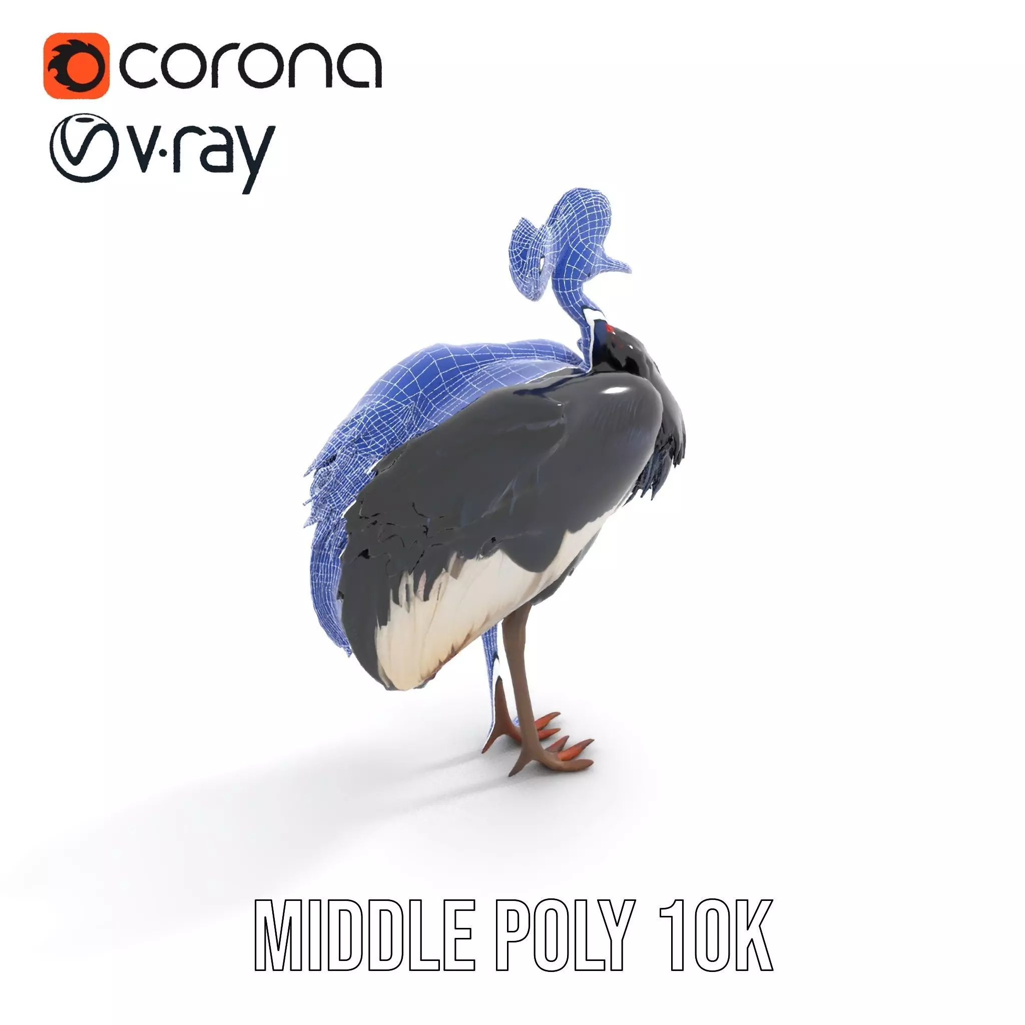 Majestic Gray Crowned Crane model pack Low-poly 3D model_15