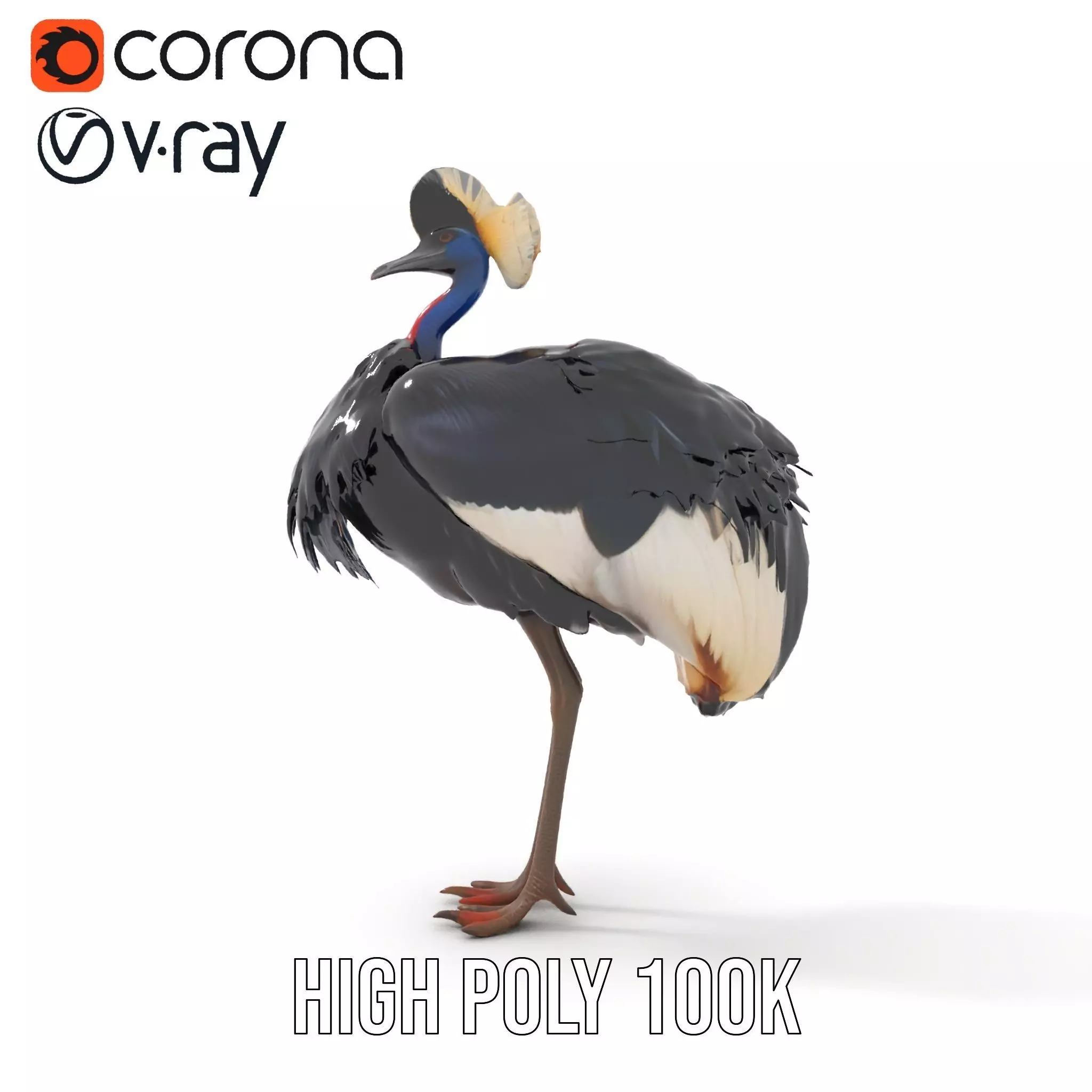 Majestic Gray Crowned Crane model pack Low-poly 3D model_25
