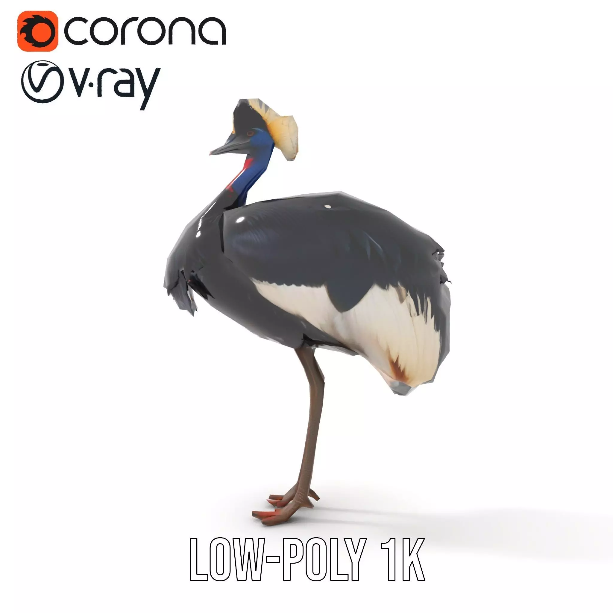 Majestic Gray Crowned Crane model pack Low-poly 3D model_14