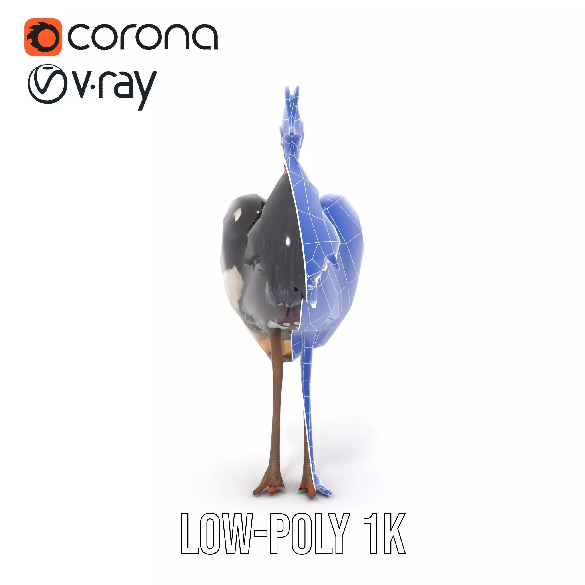 Majestic Gray Crowned Crane model pack Low-poly 3D model_9