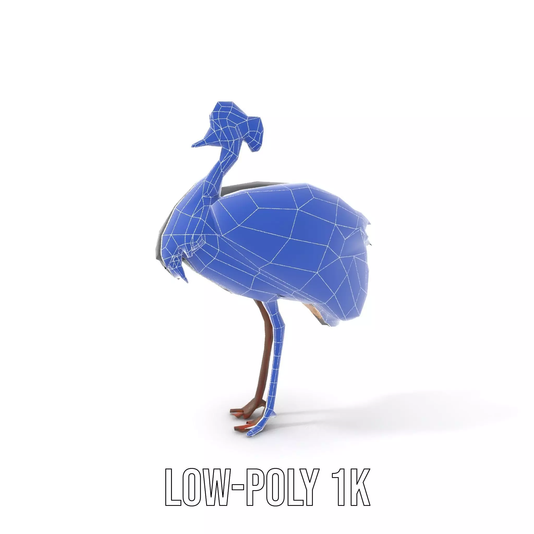 Majestic Gray Crowned Crane model pack Low-poly 3D model_7