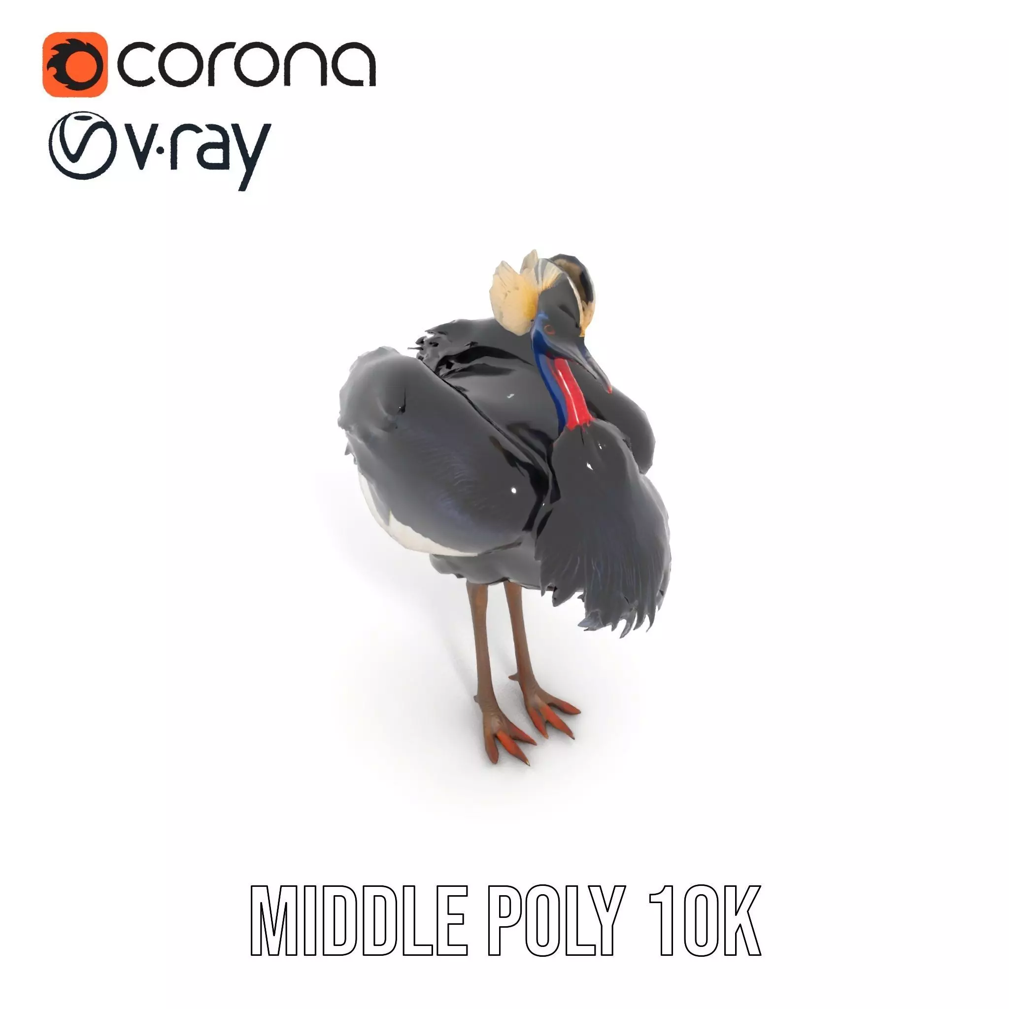 Majestic Gray Crowned Crane model pack Low-poly 3D model_13