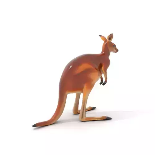Realistic Kangaroo model pack