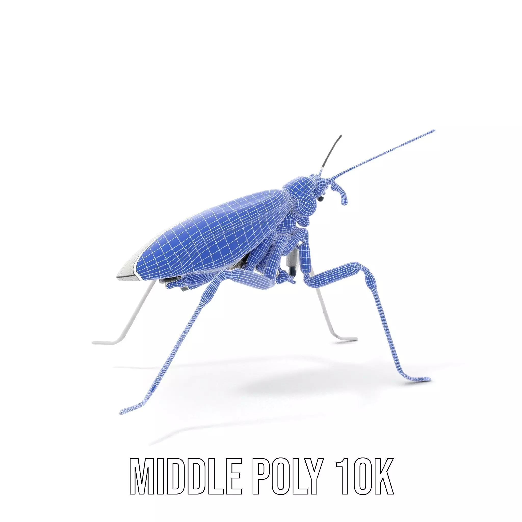 Futuristic Metallic Insect model pack Low-poly 3D model_11