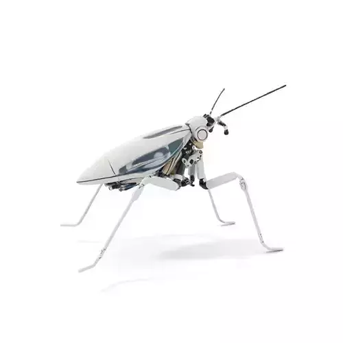 Futuristic Metallic Insect model pack Low-poly 3D model Futuristic Metallic Insect model pack Low-poly 3D model
