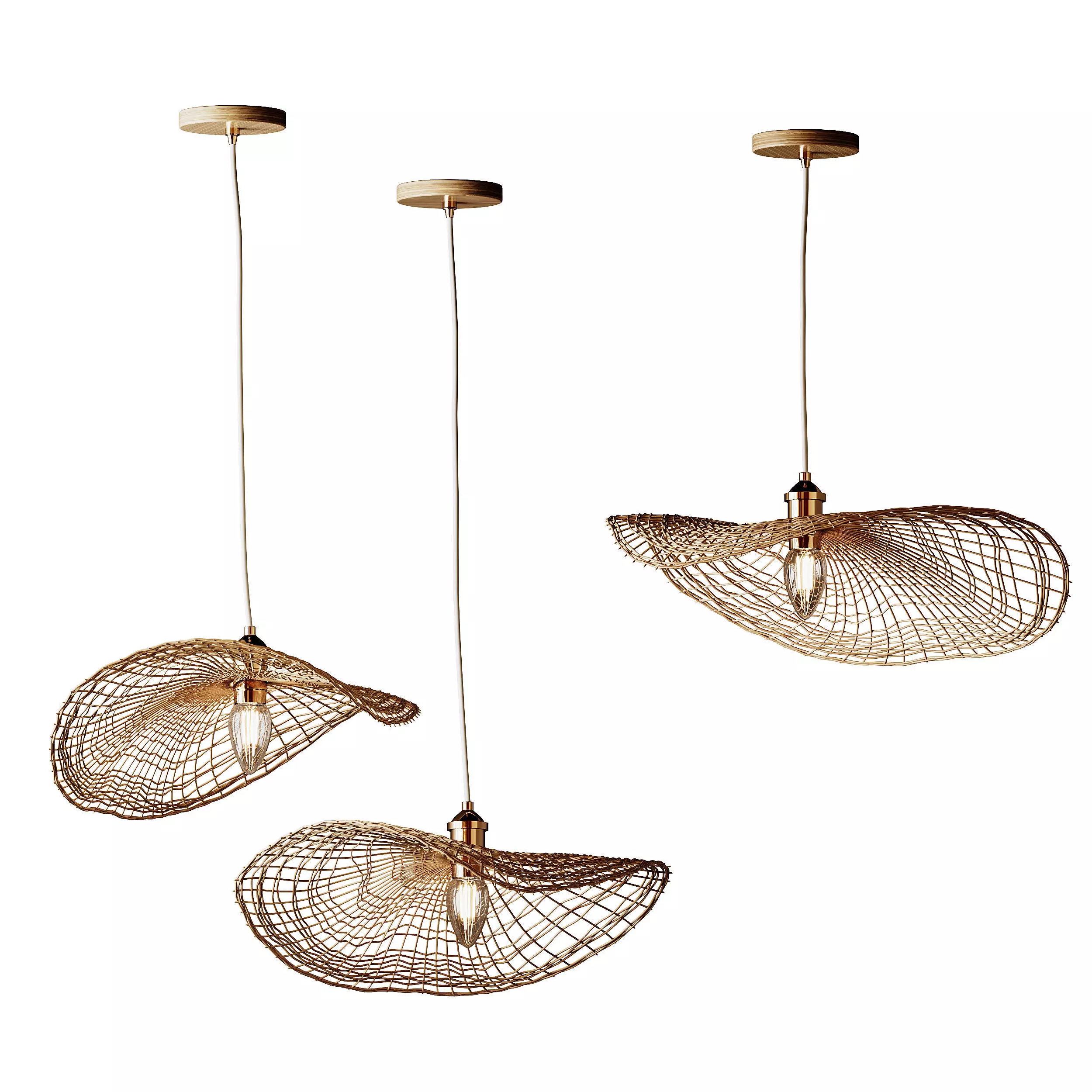 Boho Hand-woven Rattan Chandelier Decorative Pendant Light 3D model_2