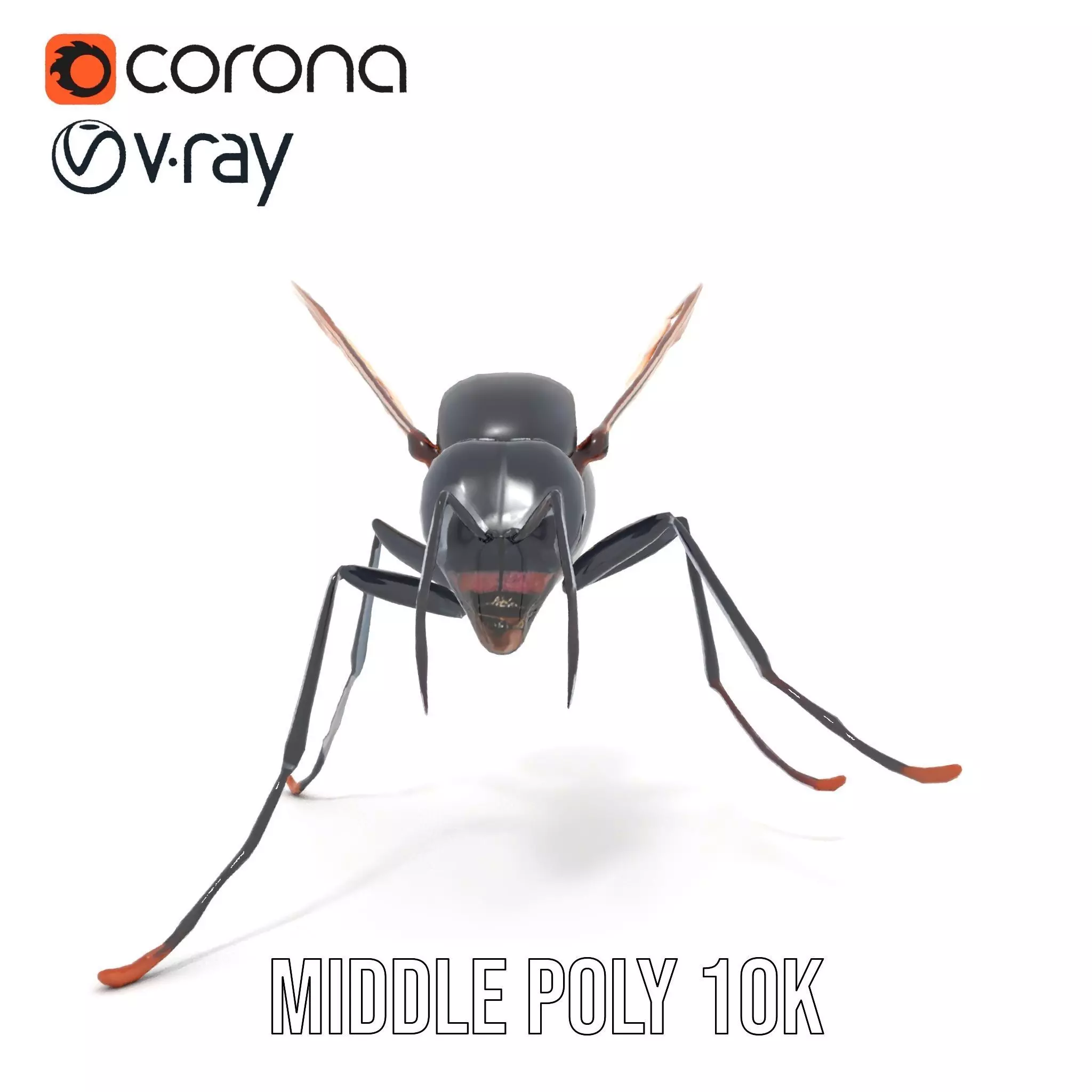 Mechanical Insect model pack Low-poly 3D model_18