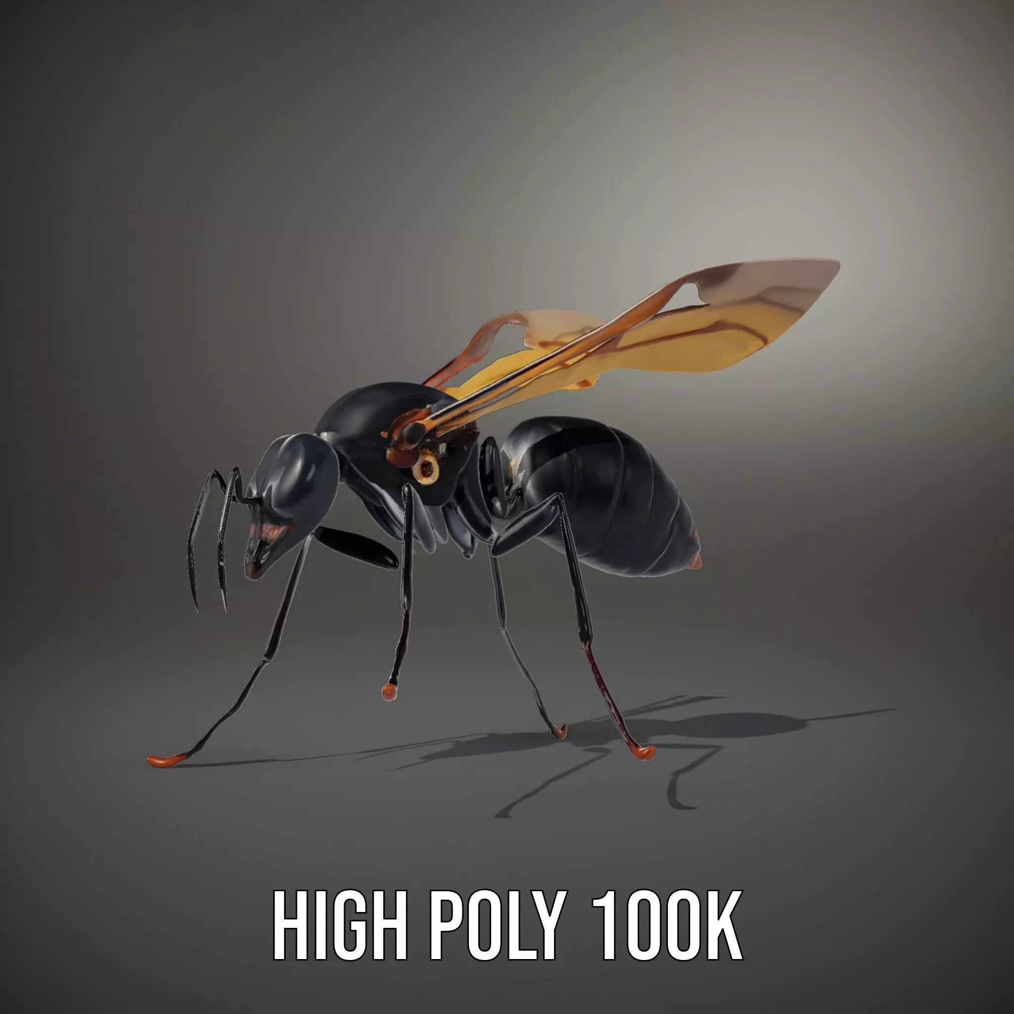 Mechanical Insect model pack Low-poly 3D model_8