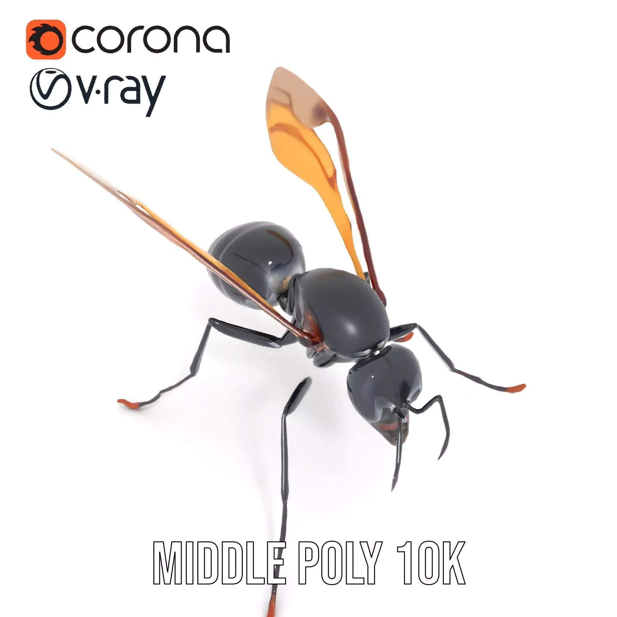 Mechanical Insect model pack Low-poly 3D model_13
