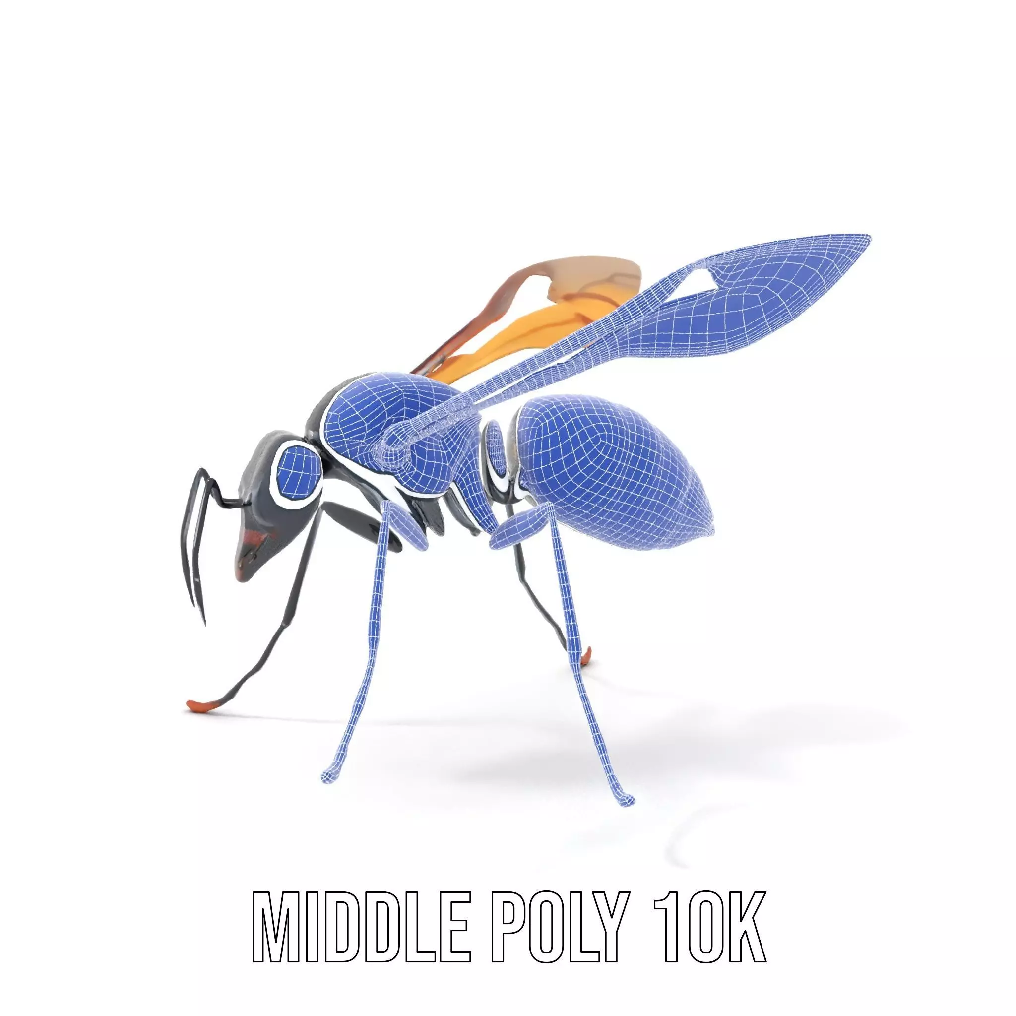 Mechanical Insect model pack Low-poly 3D model_24
