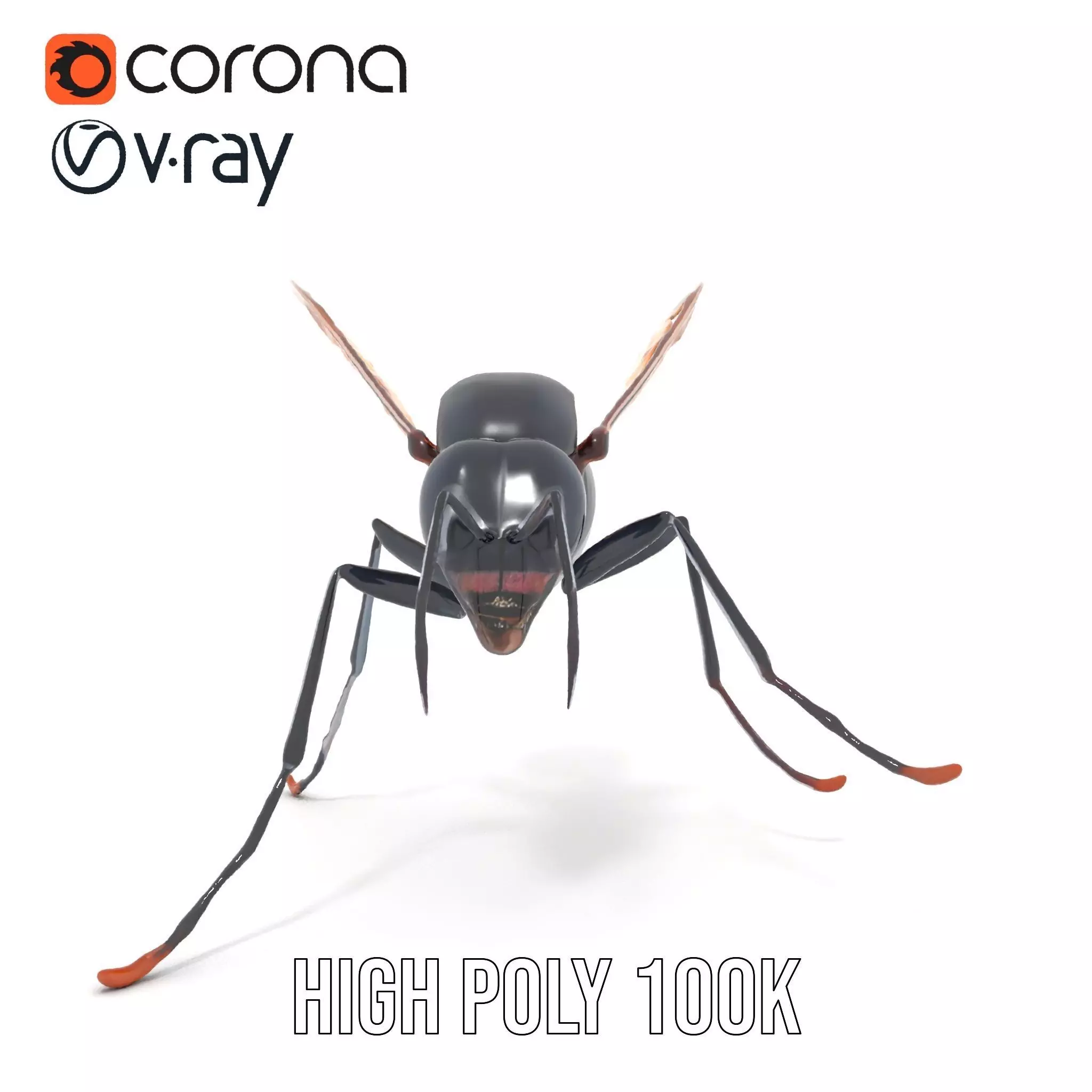 Mechanical Insect model pack Low-poly 3D model_17