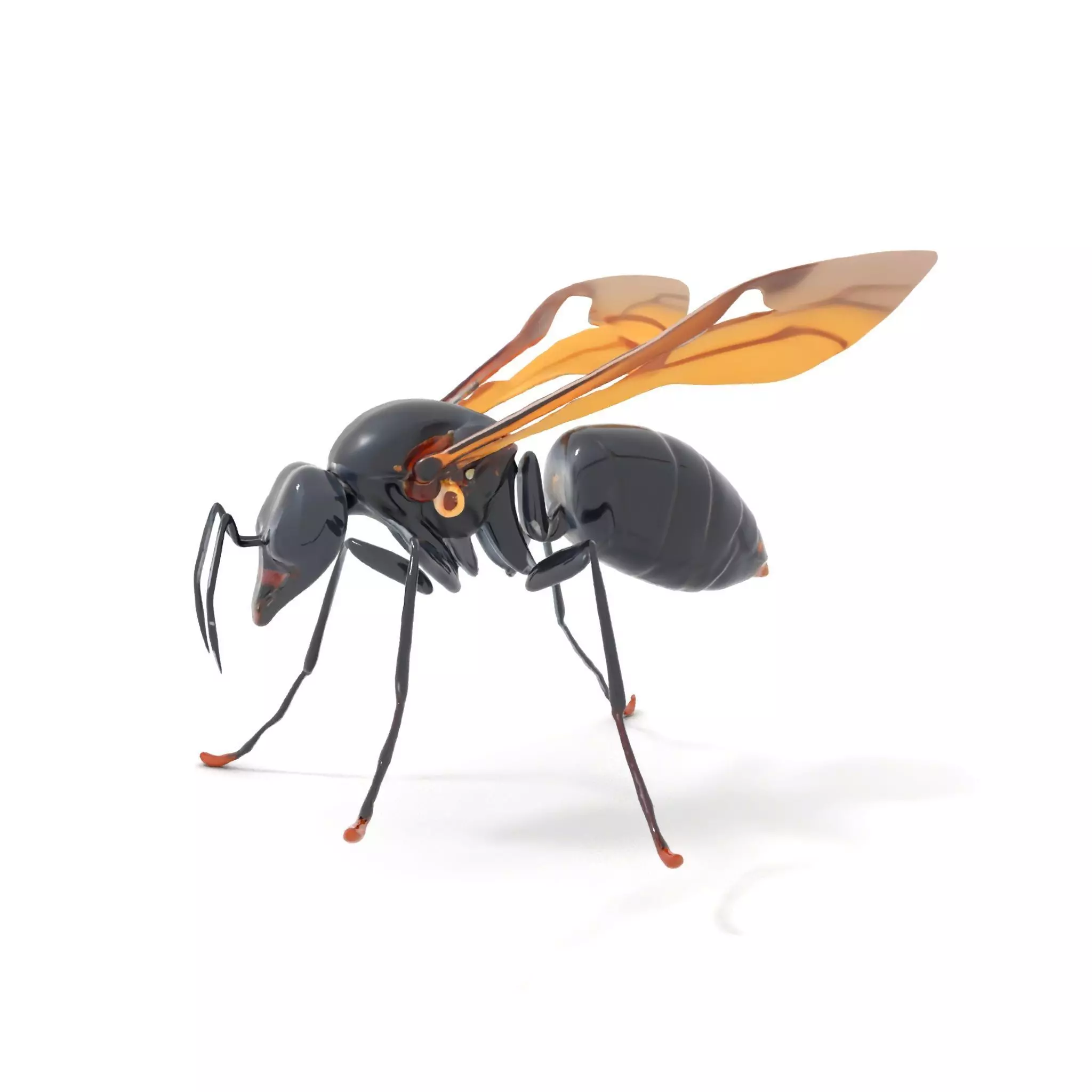 Mechanical Insect model pack Low-poly 3D model_0