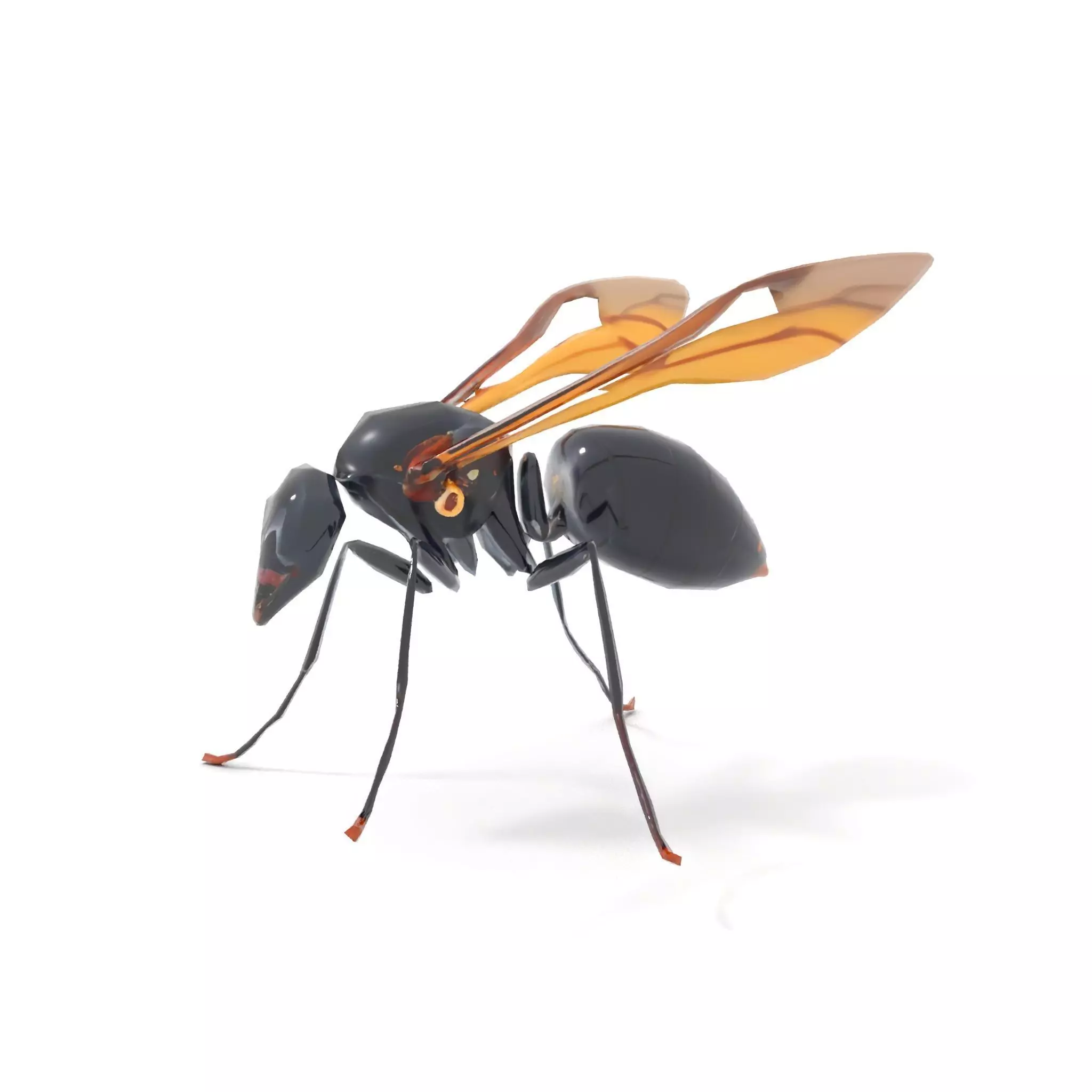 Mechanical Insect model pack Low-poly 3D model_12