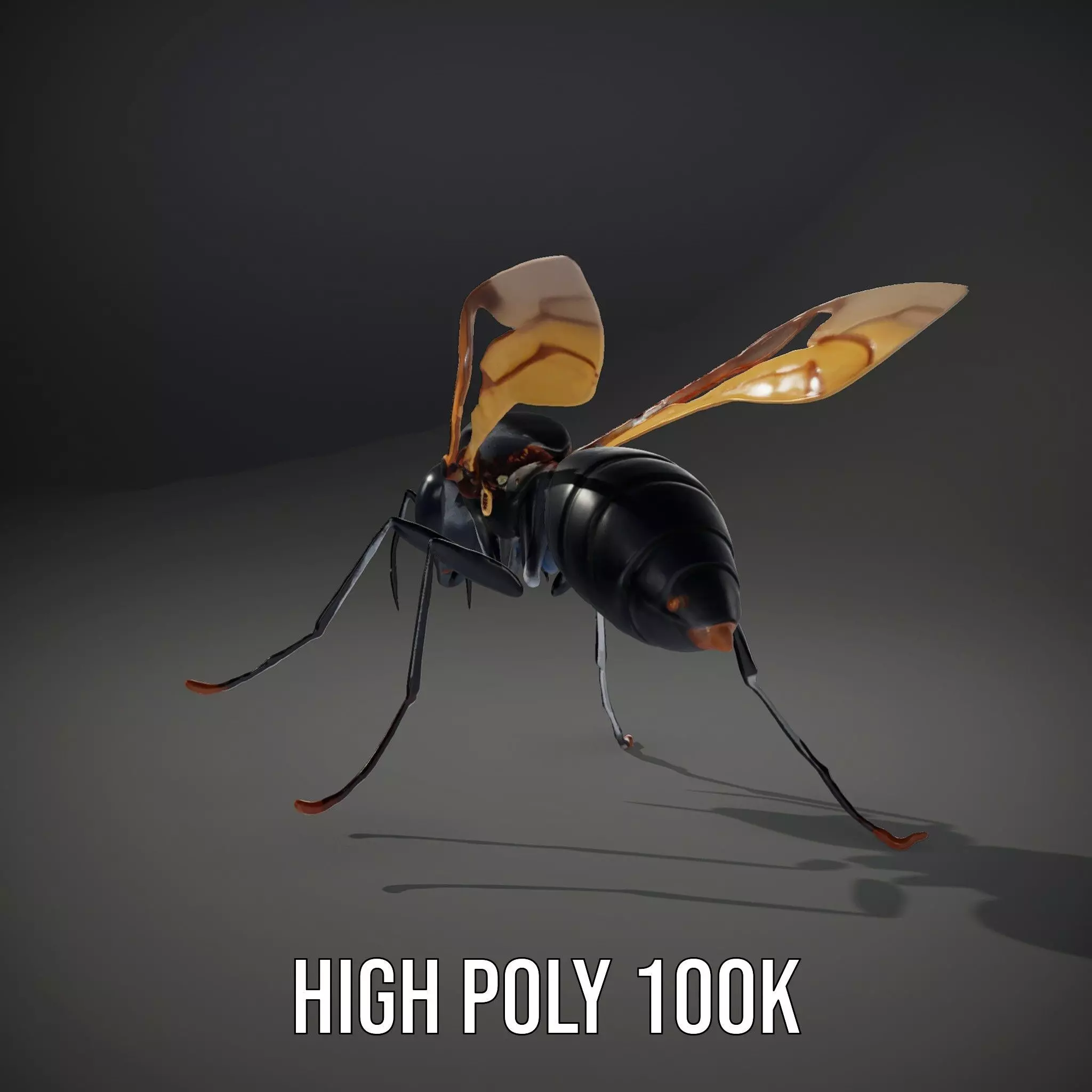 Mechanical Insect model pack Low-poly 3D model_10