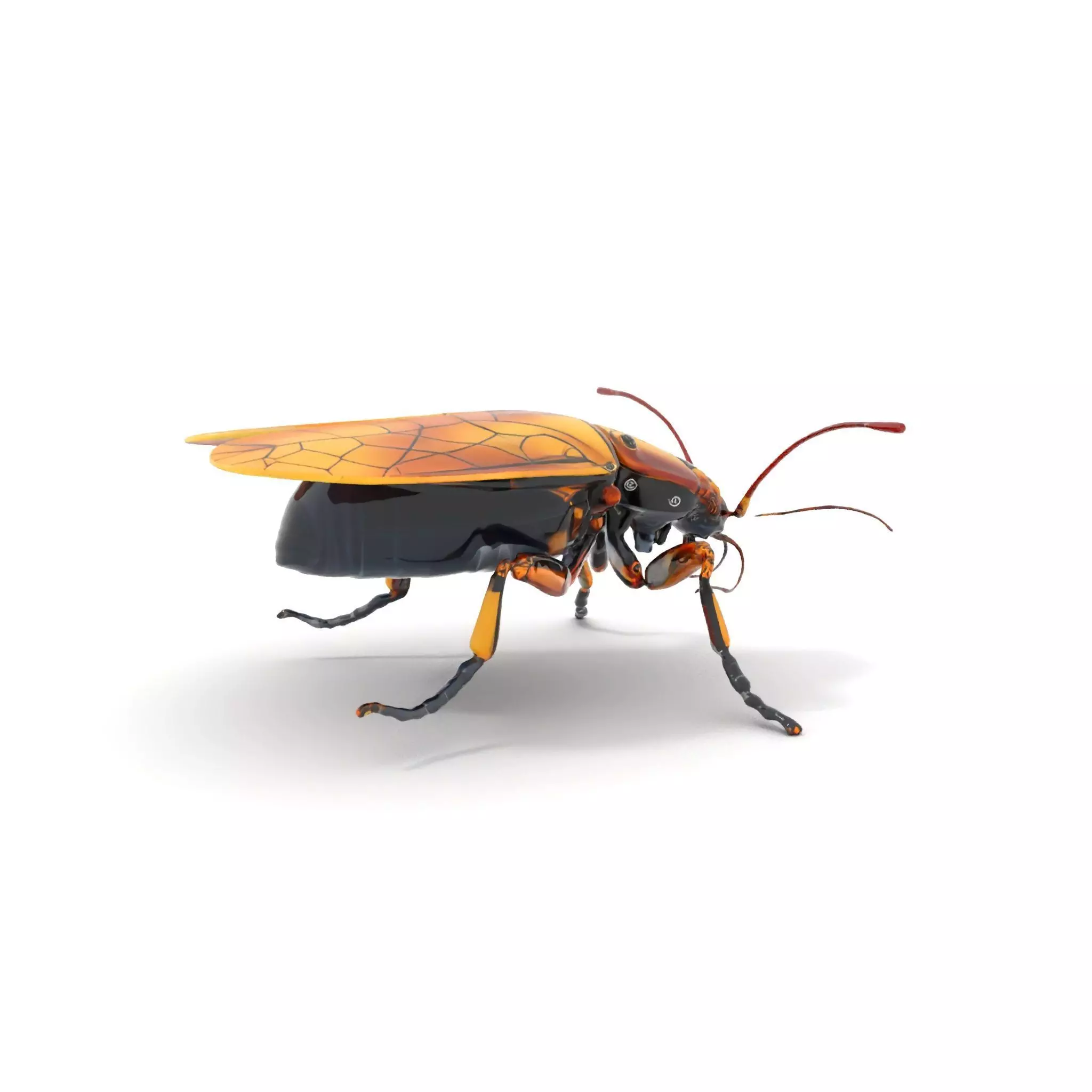 Golden Robo Beetle model pack Low-poly 3D model_0