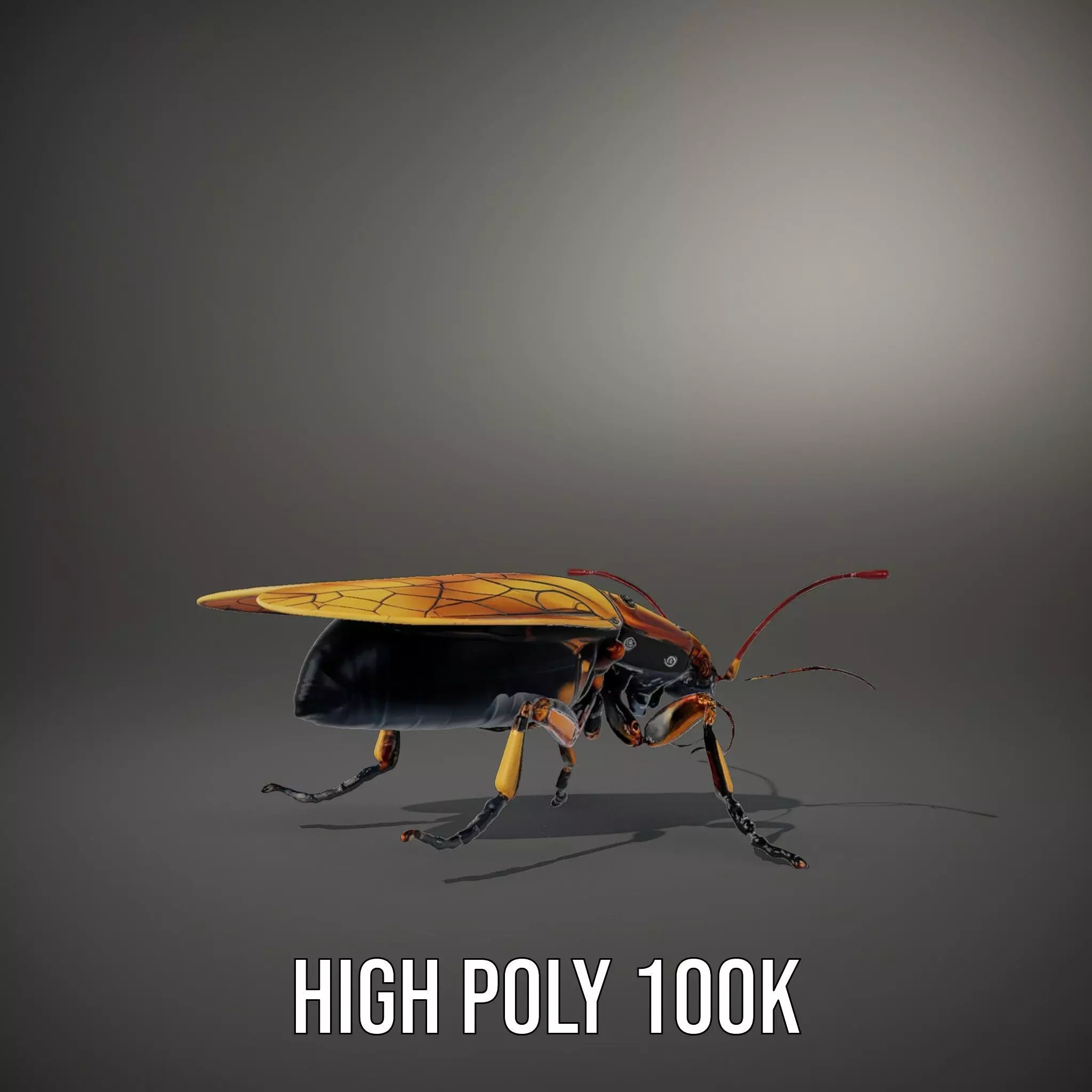 Golden Robo Beetle model pack Low-poly 3D model_10