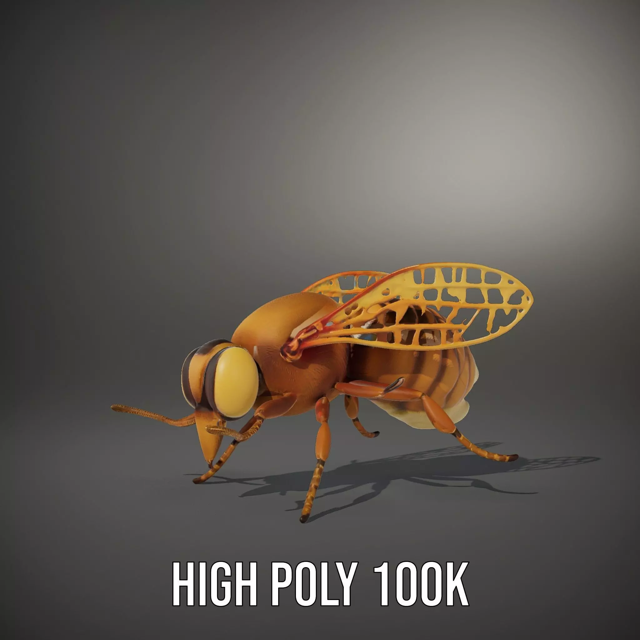Golden Bee Creature model pack Low-poly 3D model_10