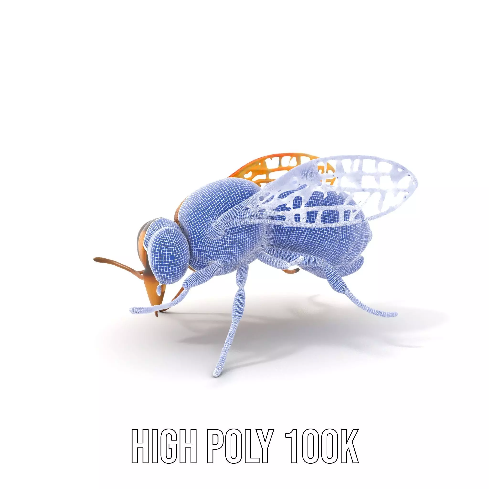 Golden Bee Creature model pack Low-poly 3D model_4