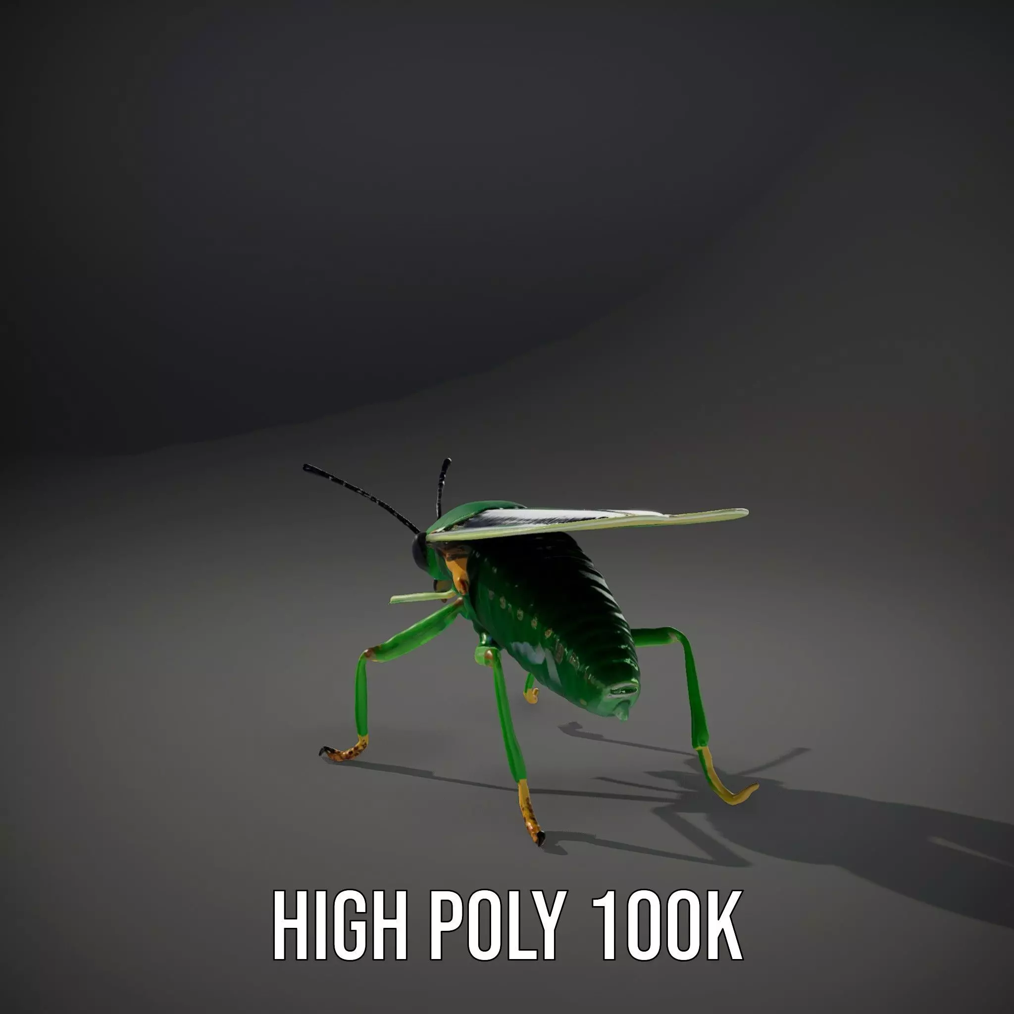 Green Insect Drone model pack Low-poly 3D model_8