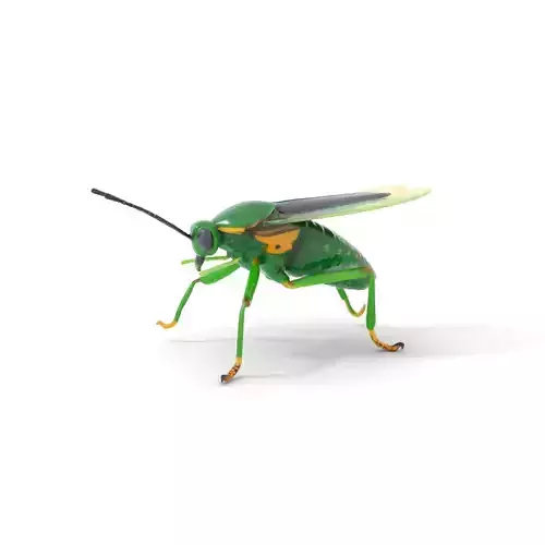 Green Insect Drone model pack Low-poly 3D model Green Insect Drone model pack Low-poly 3D model