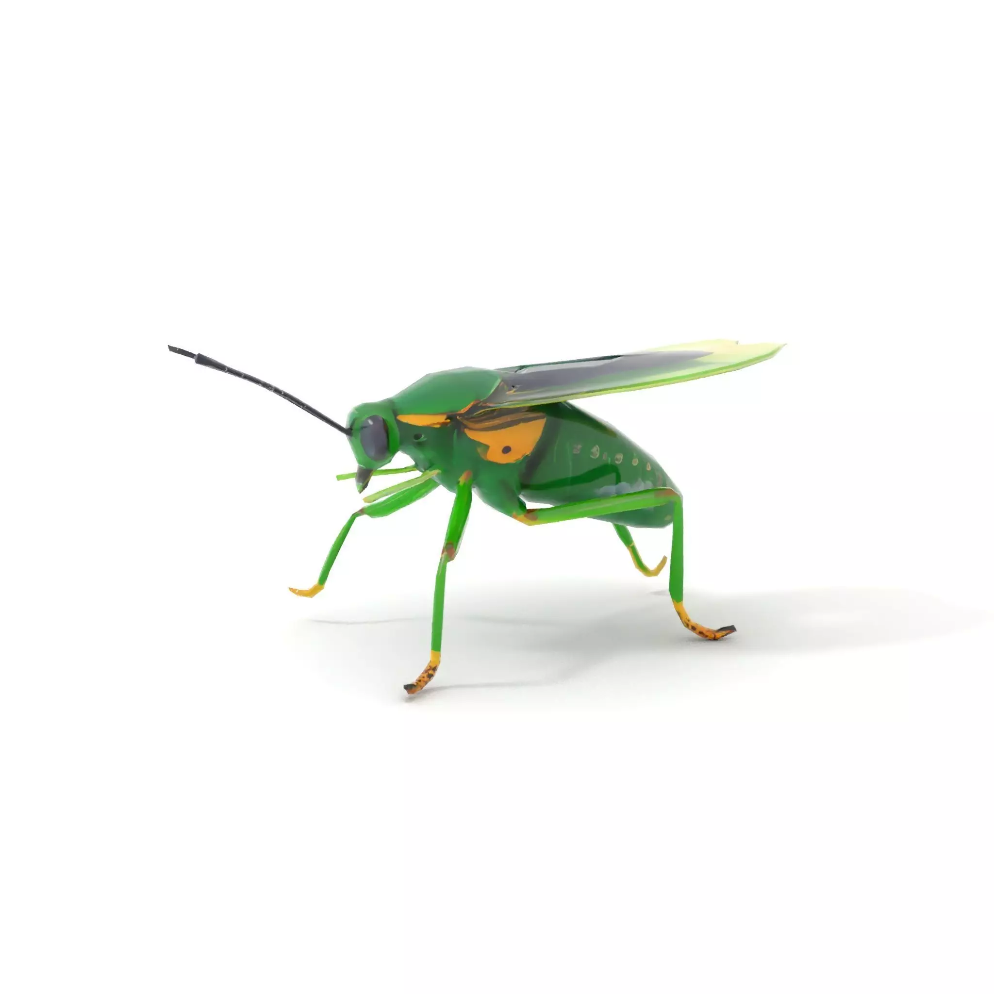 Green Insect Drone model pack Low-poly 3D model_7