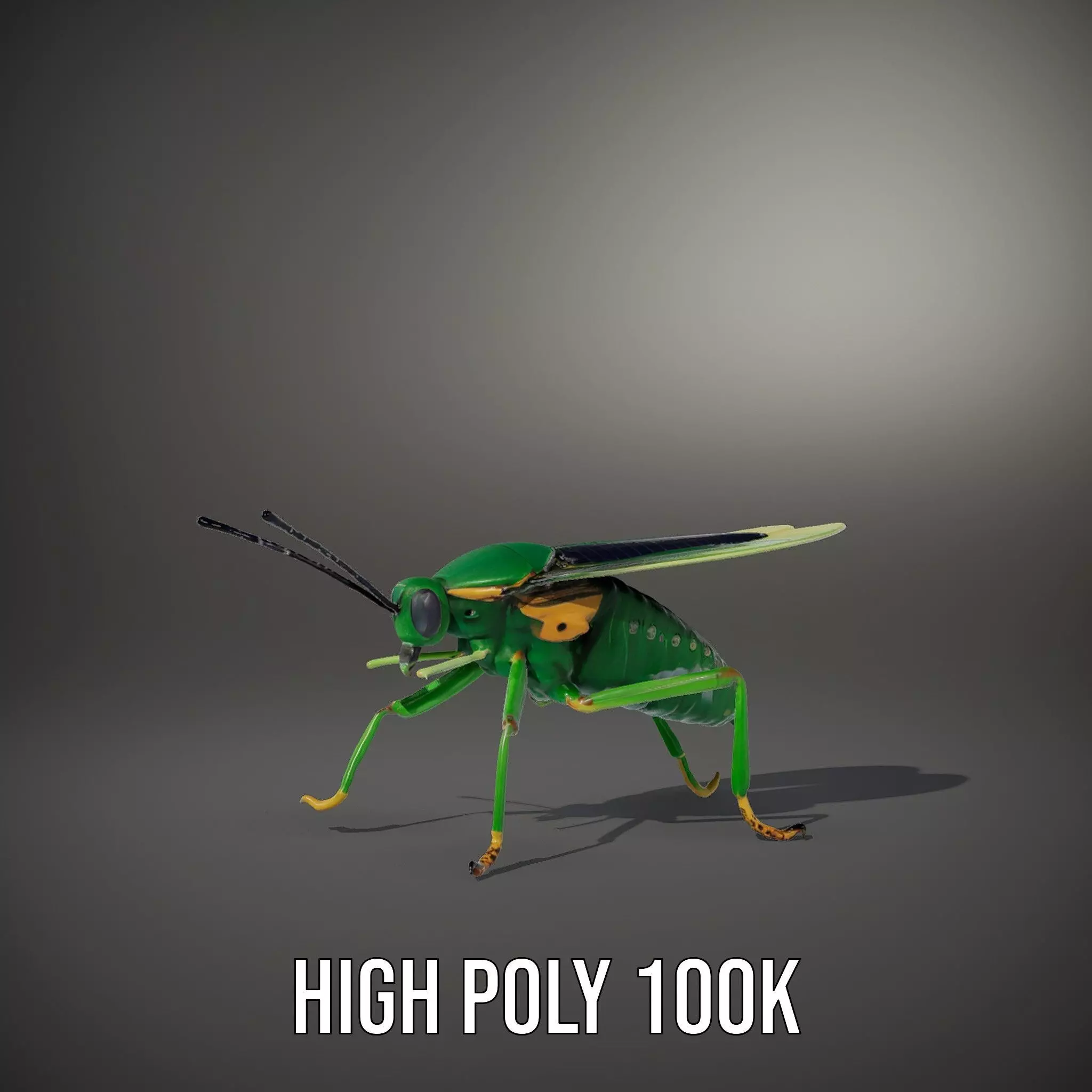 Green Insect Drone model pack Low-poly 3D model_10