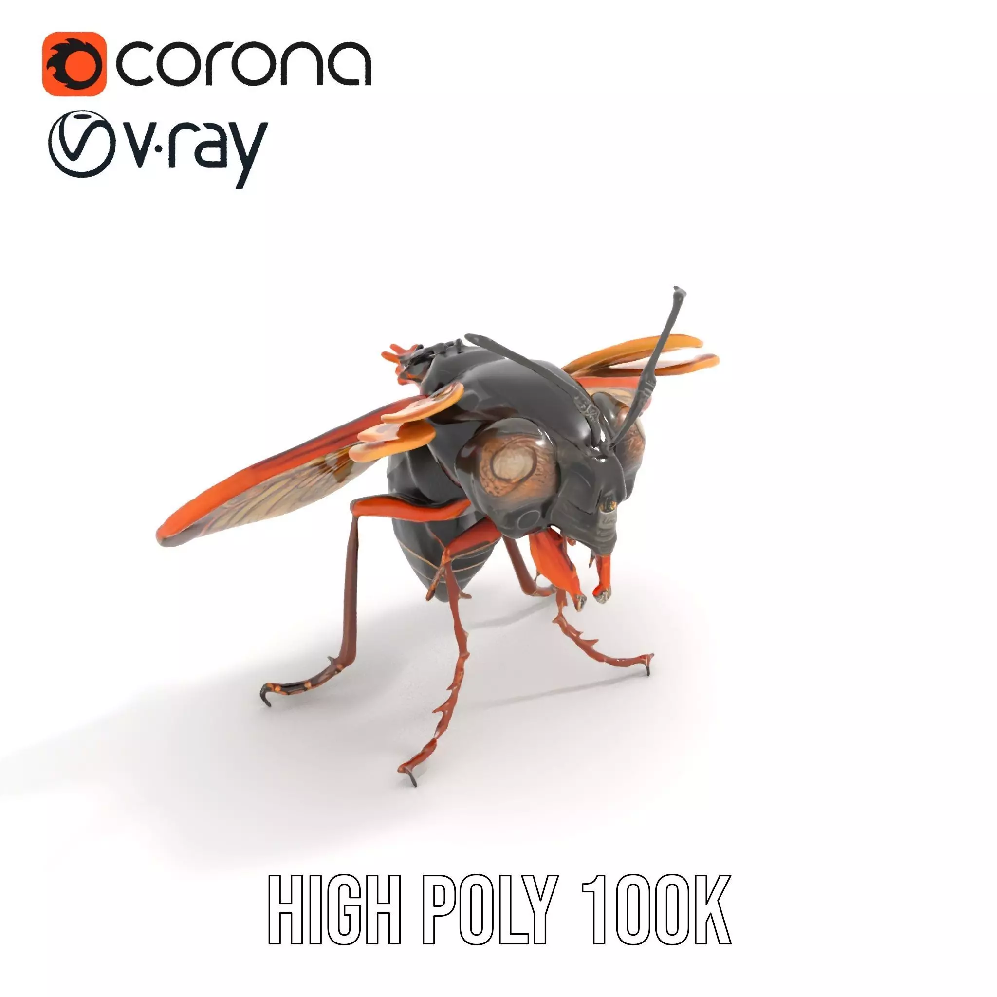 Steampunk Cicada model pack Low-poly 3D model_23