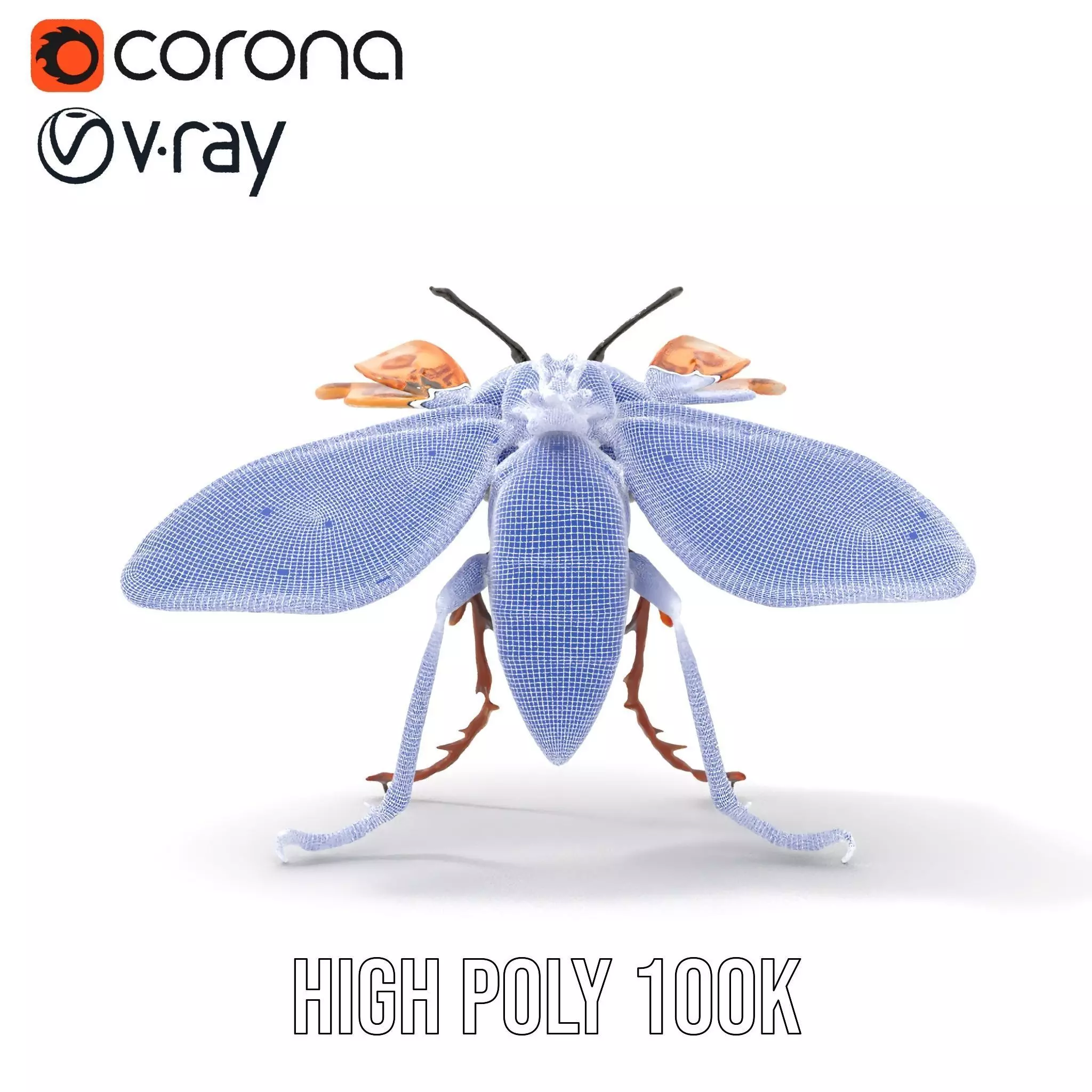 Steampunk Cicada model pack Low-poly 3D model_29