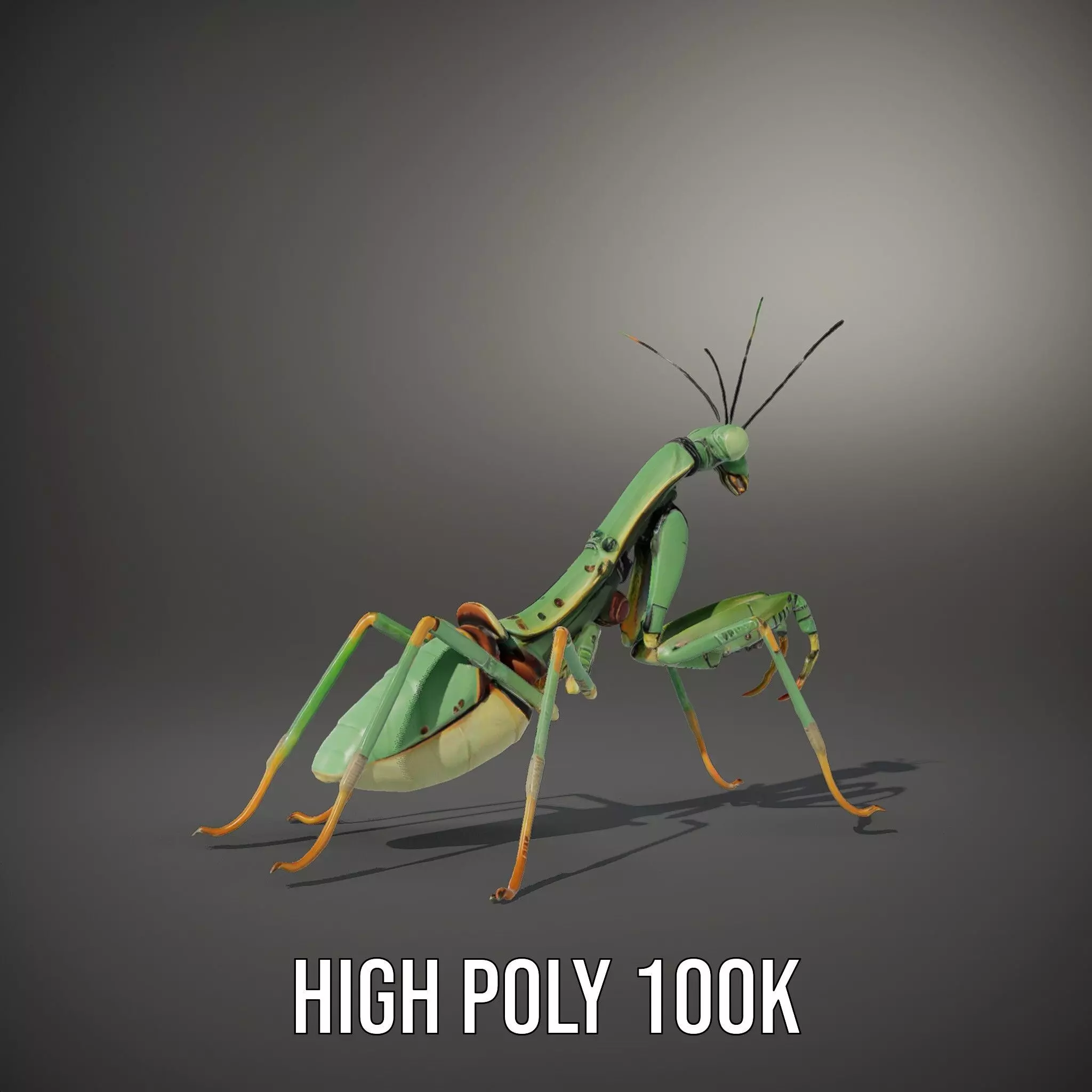 Mechanical Mantis model pack Low-poly 3D model_10