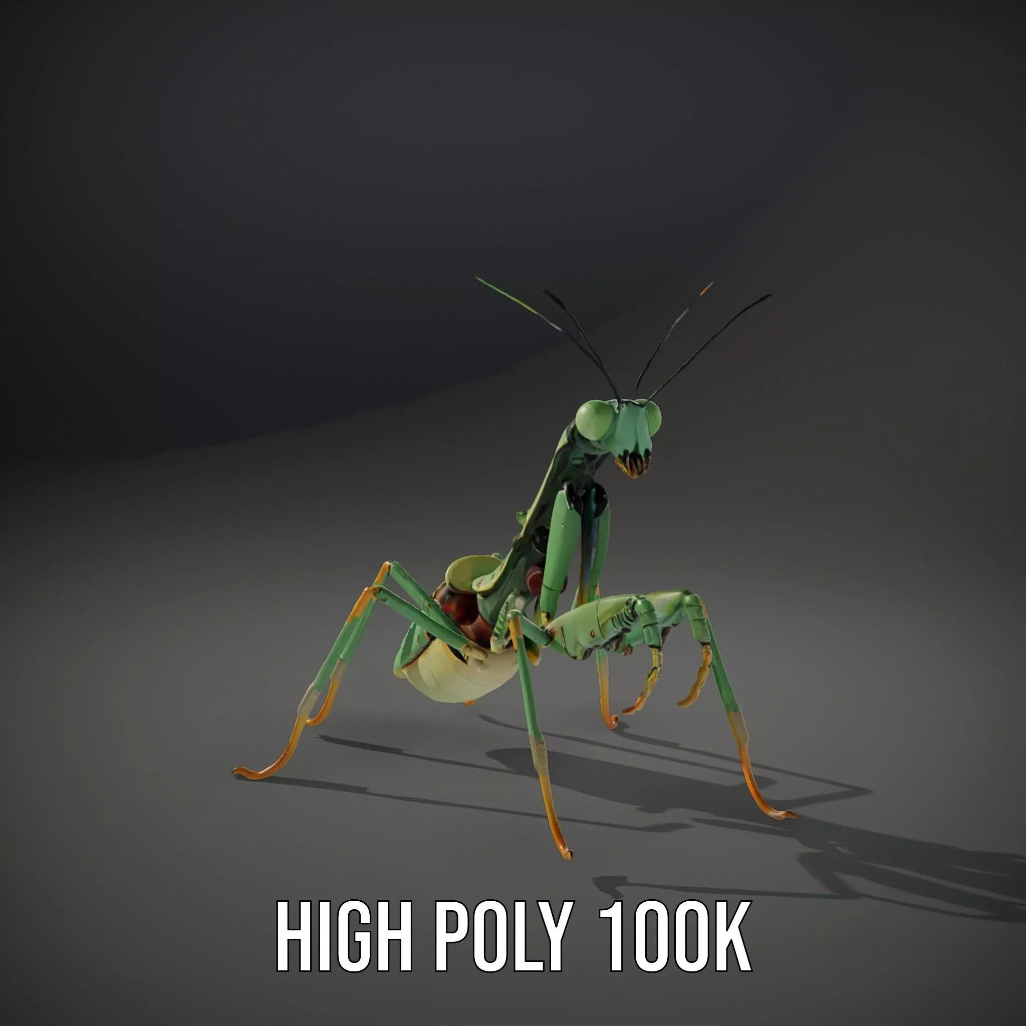 Mechanical Mantis model pack Low-poly 3D model_8