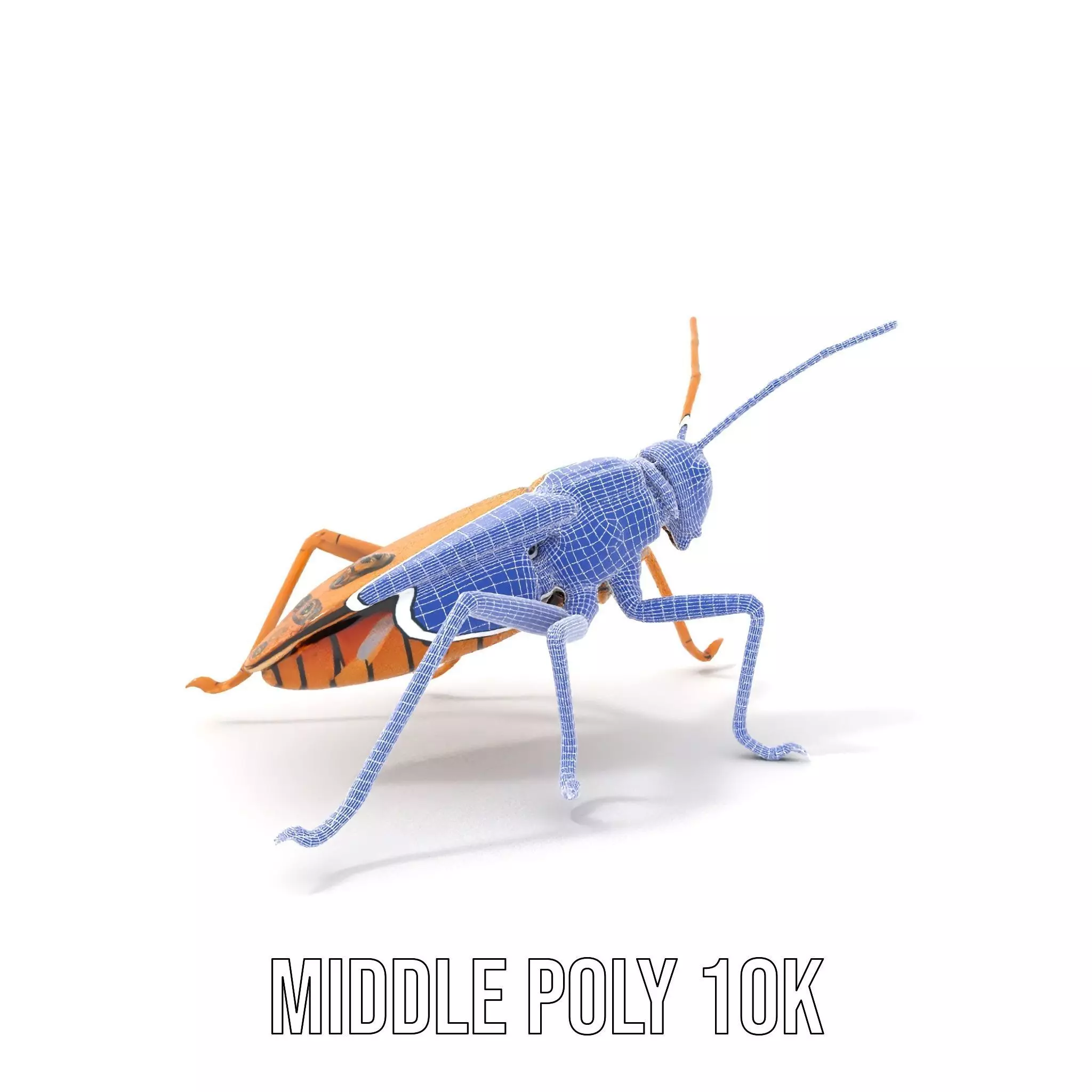 Golden Mechanical Insect model pack Low-poly 3D model_27